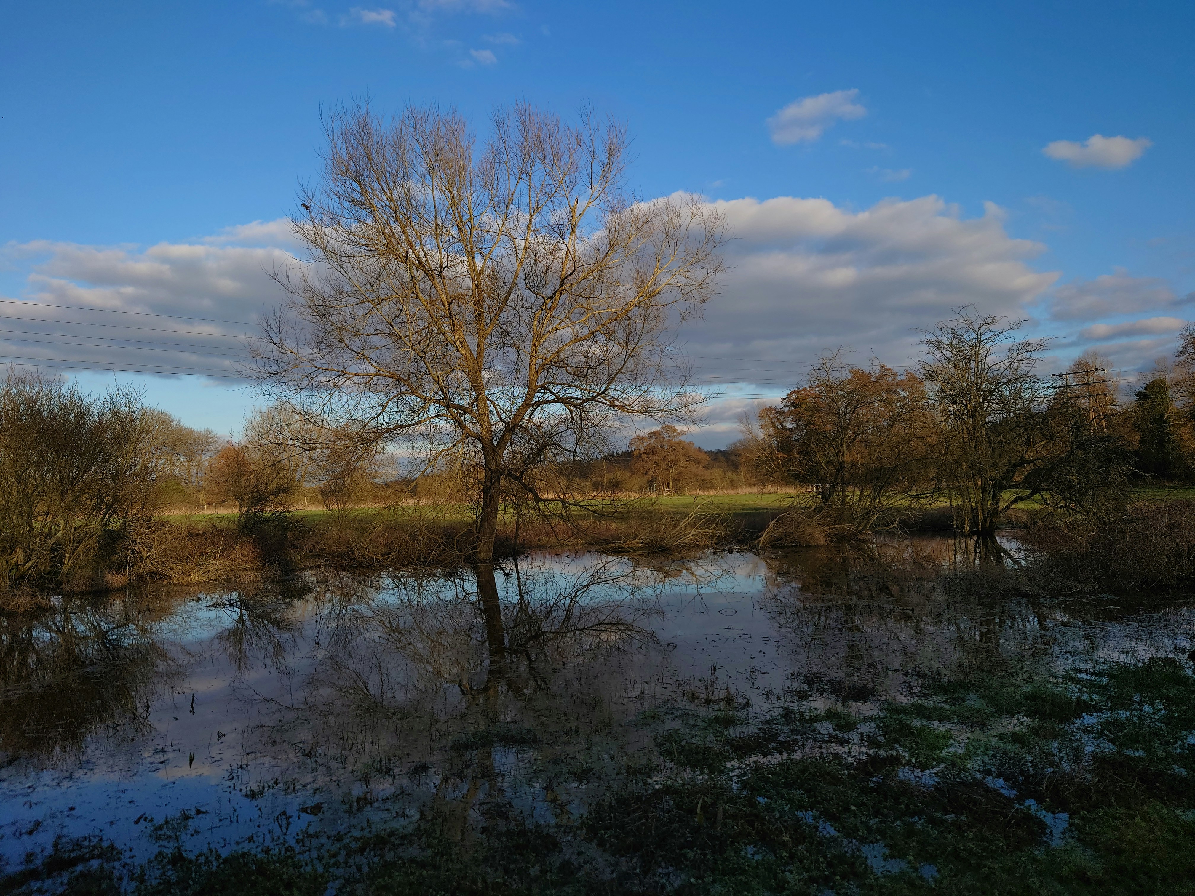 Photo by thesilverperson