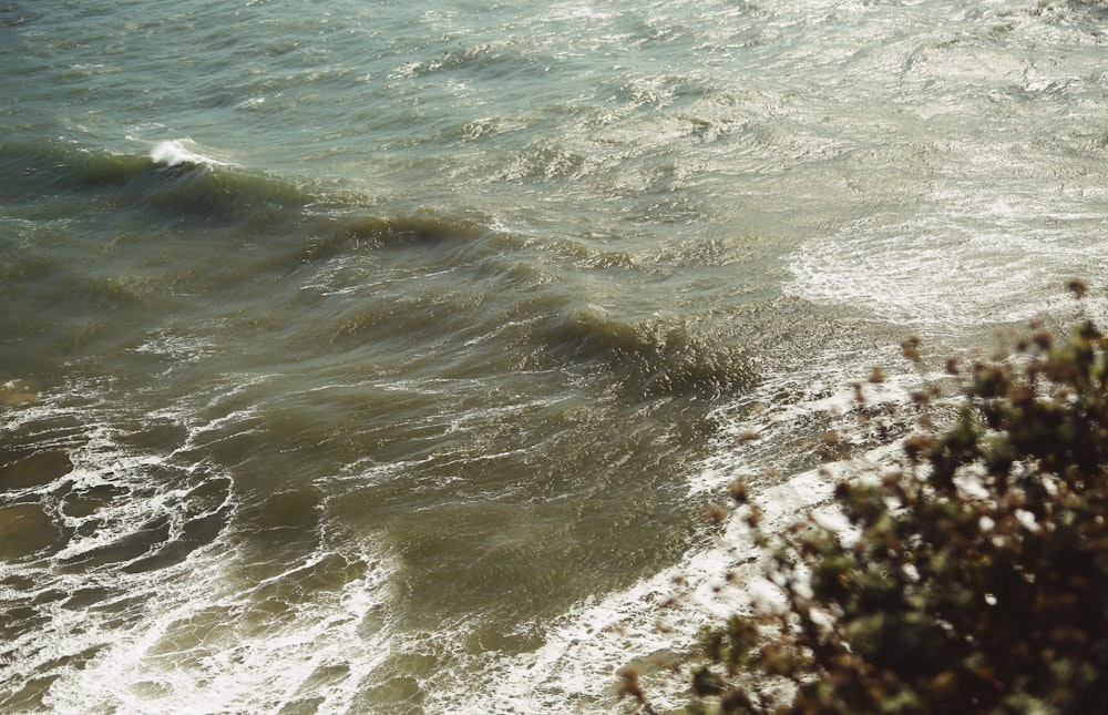 ocean waves crashing on shore during daytime