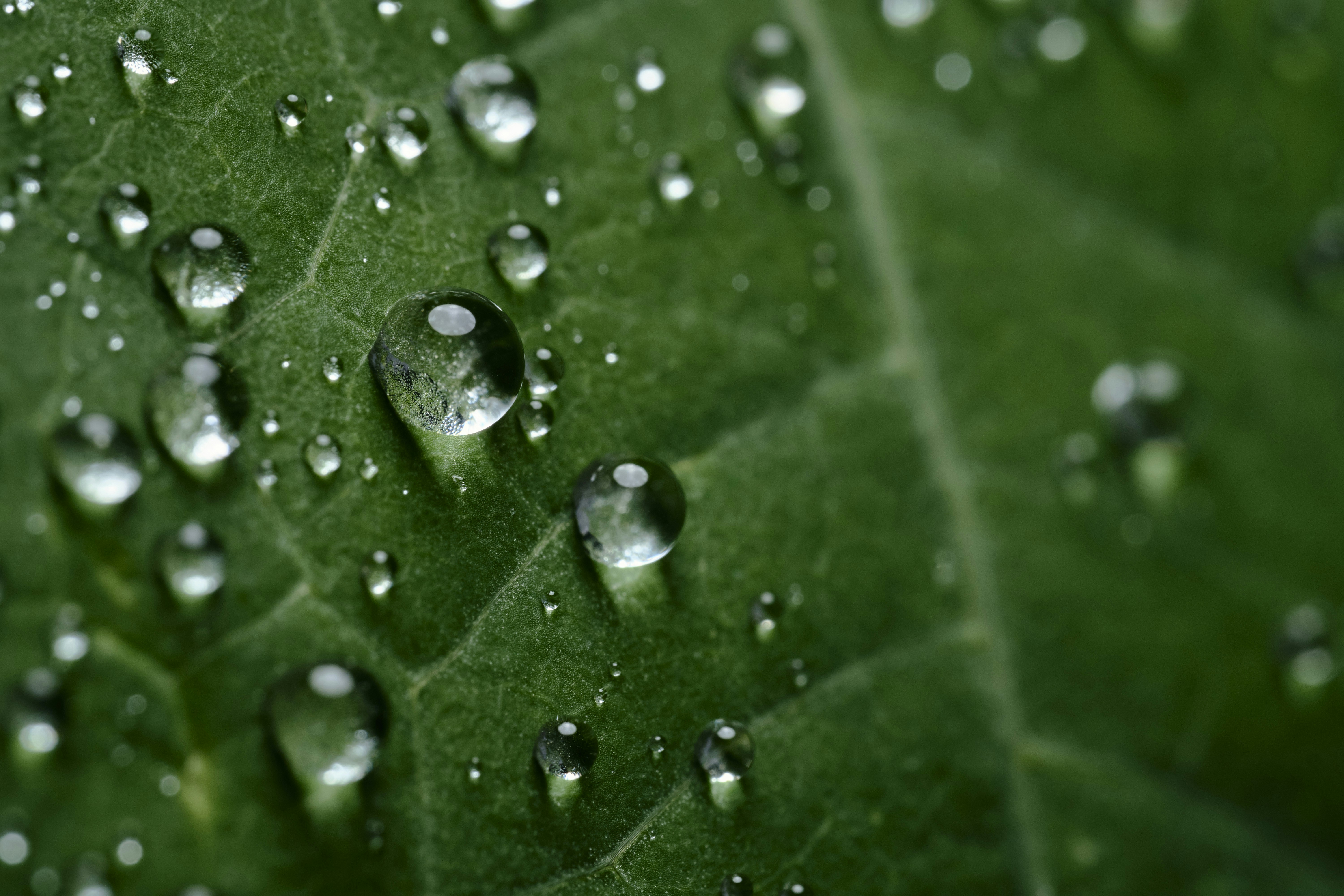 Photo by victor_vector