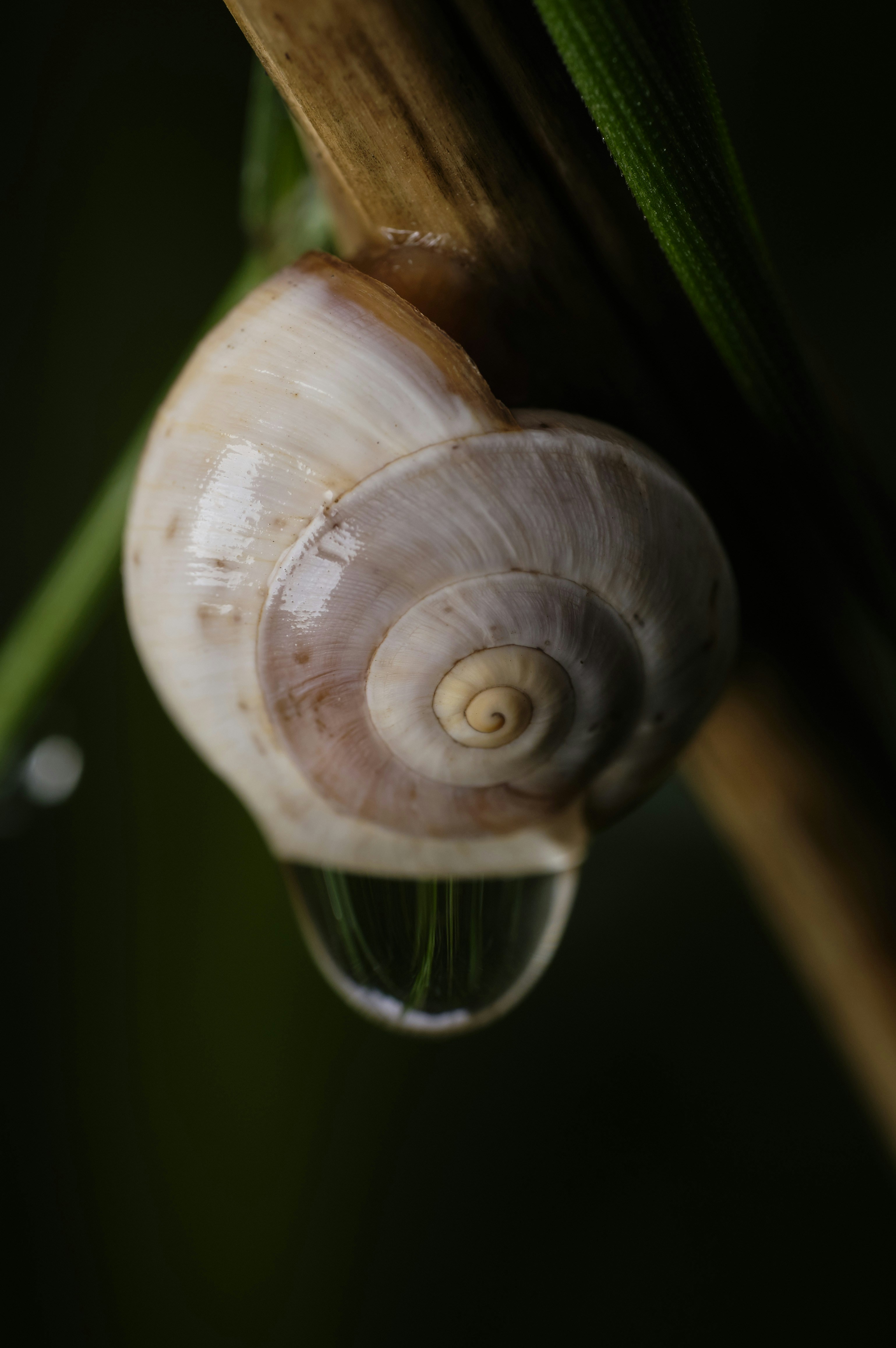 Photo by victor_vector