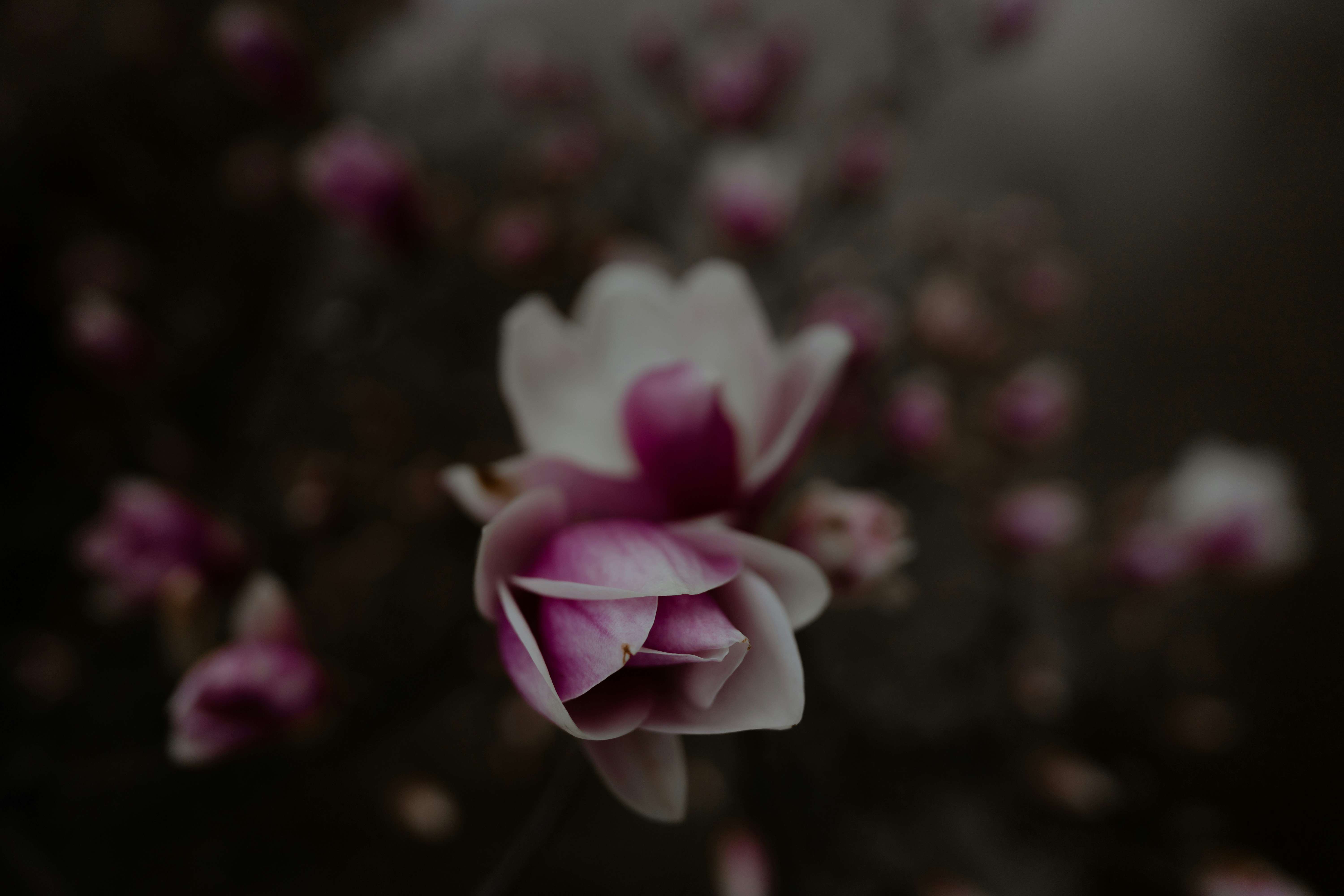 Photo by eugenechystiakov