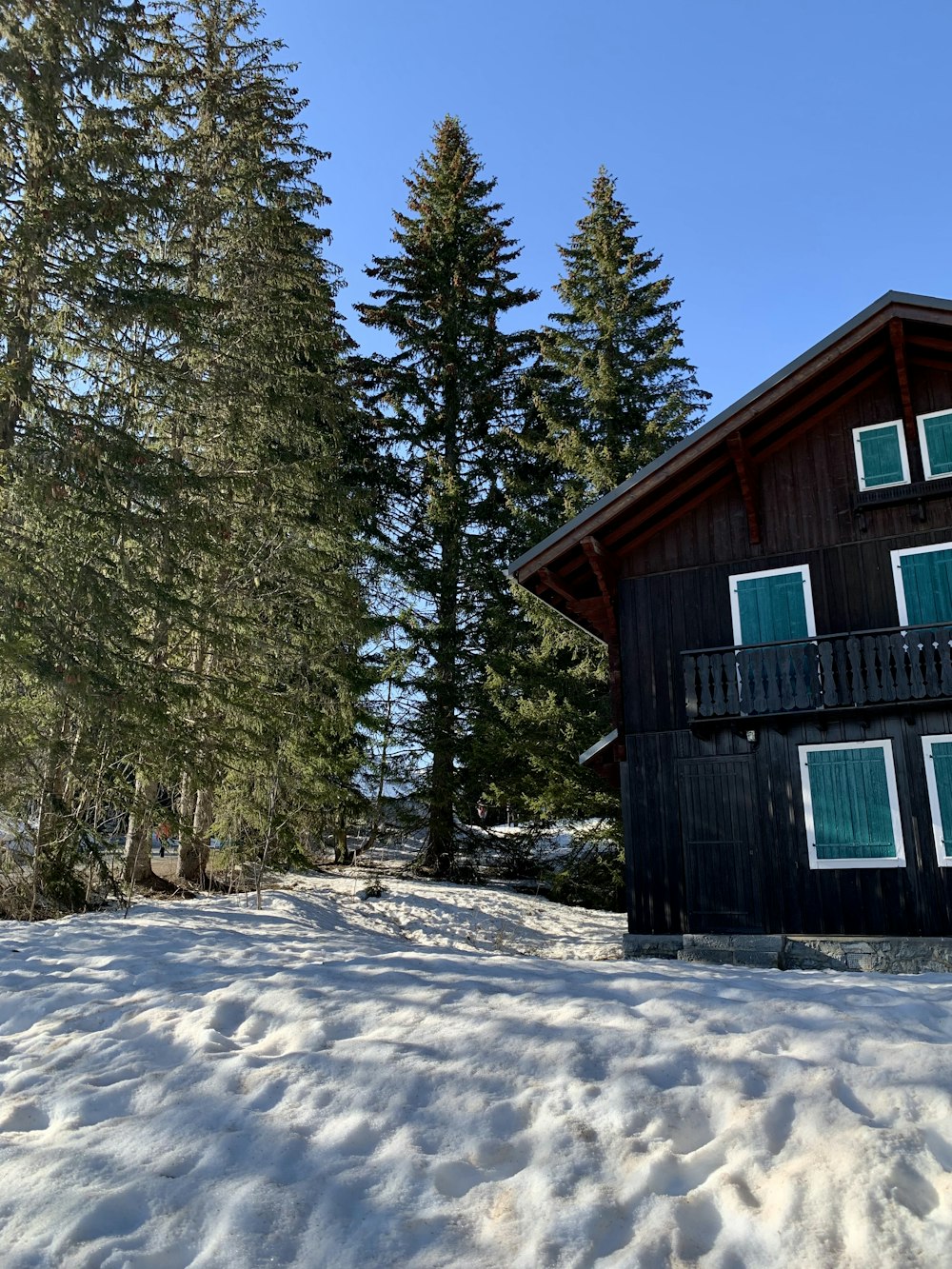 brown wooden house in the middle of snow covered forest