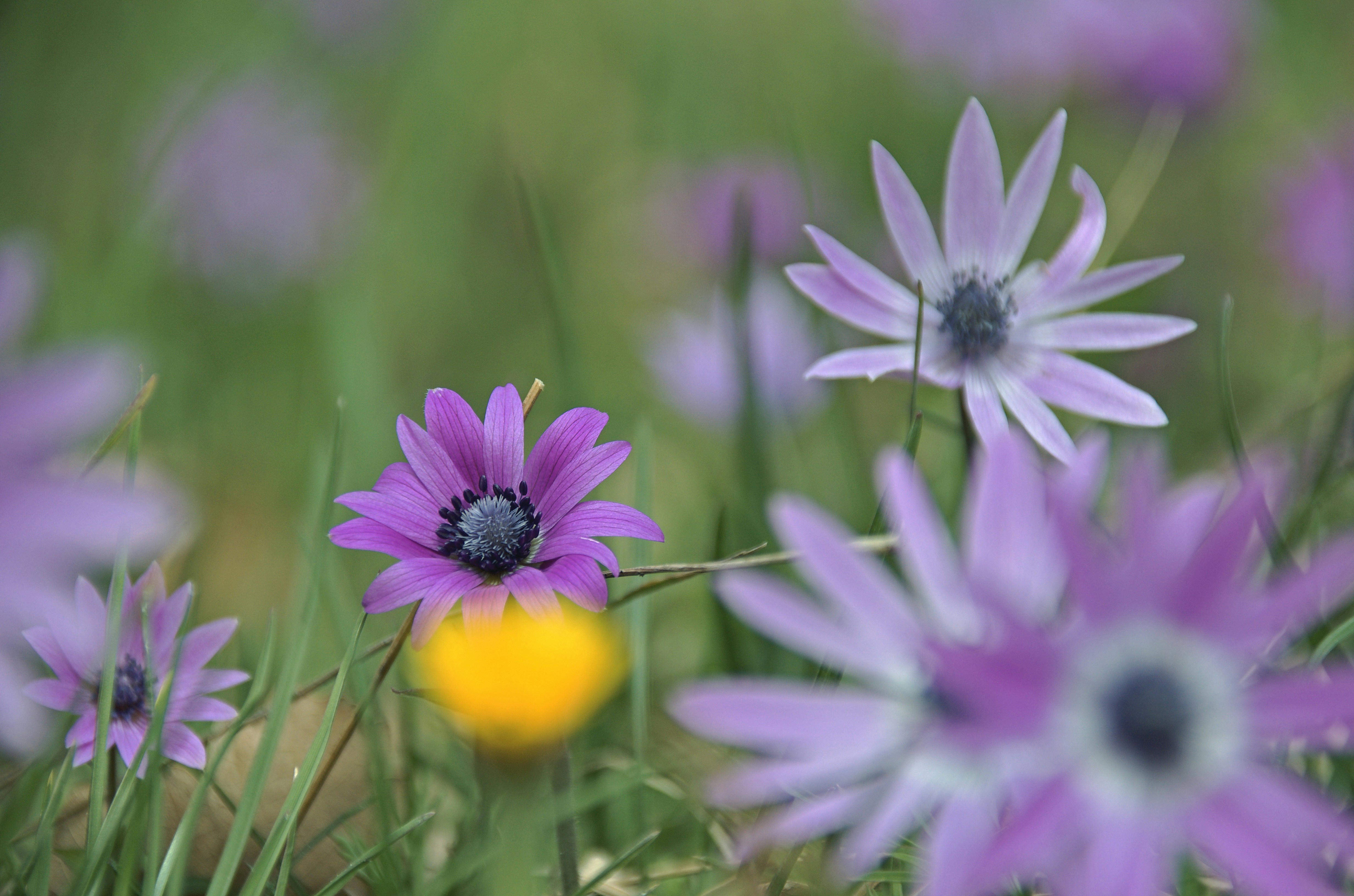 Photo by mariobeducci