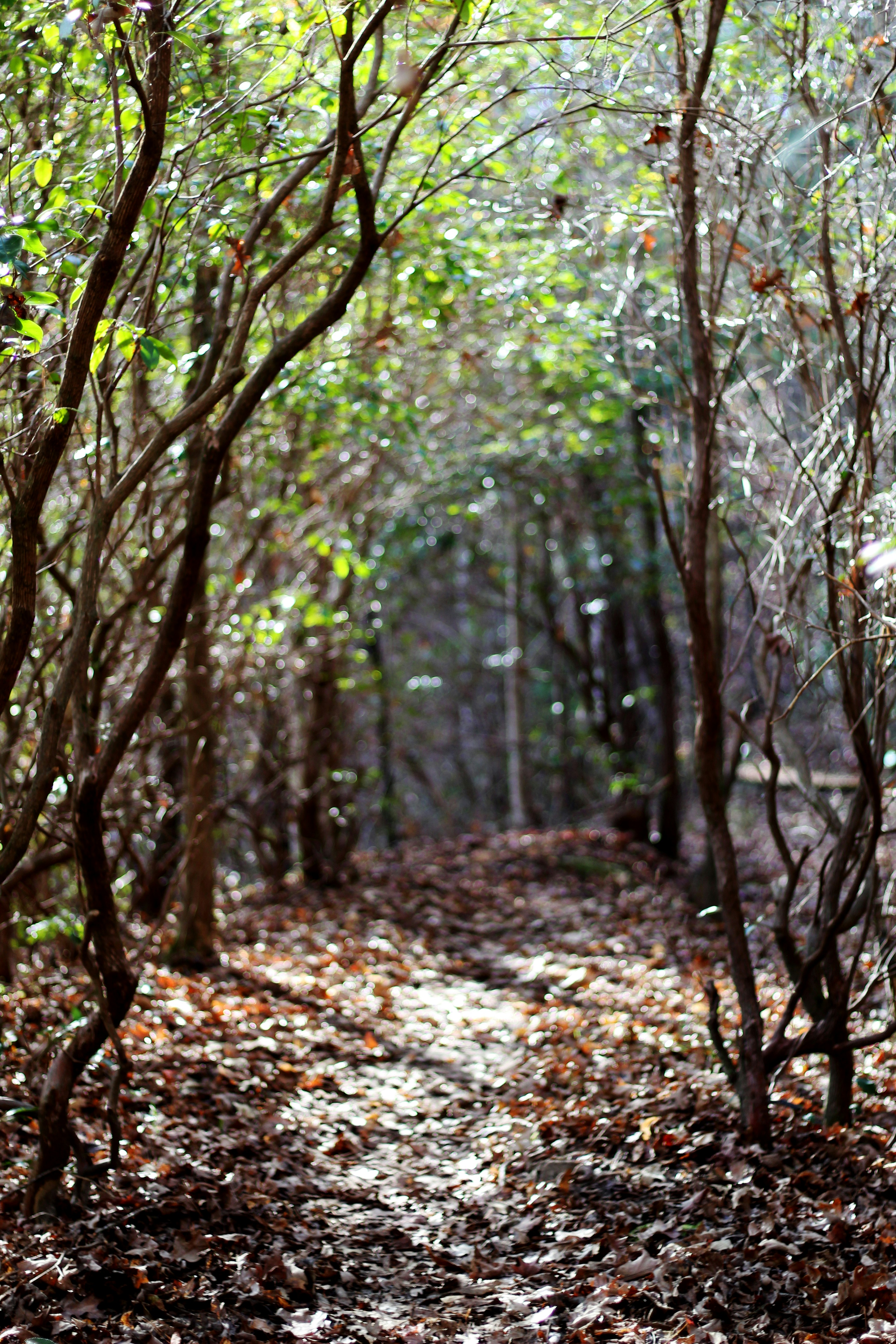 Photo by amgraphic_design