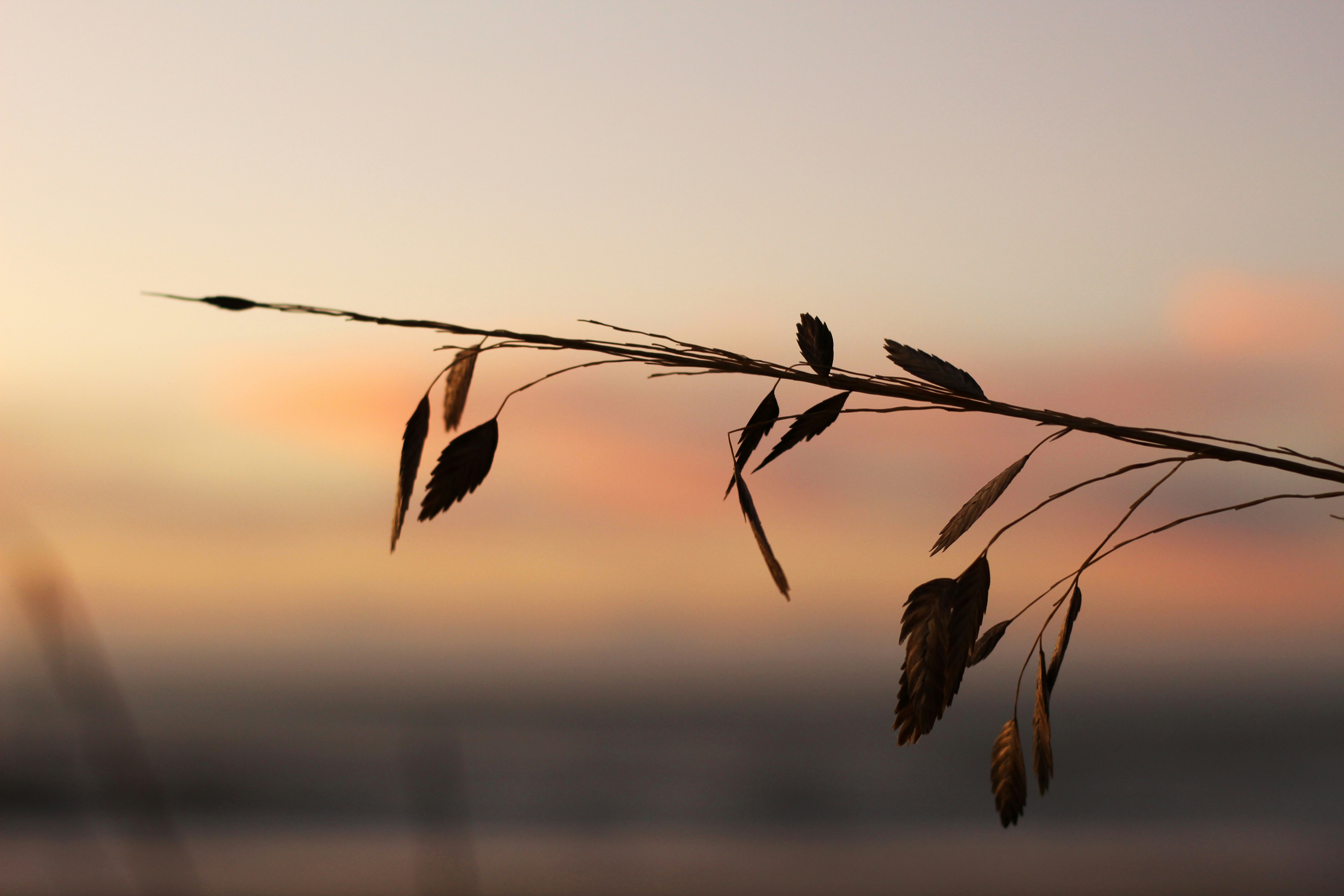 Photo by amgraphic_design