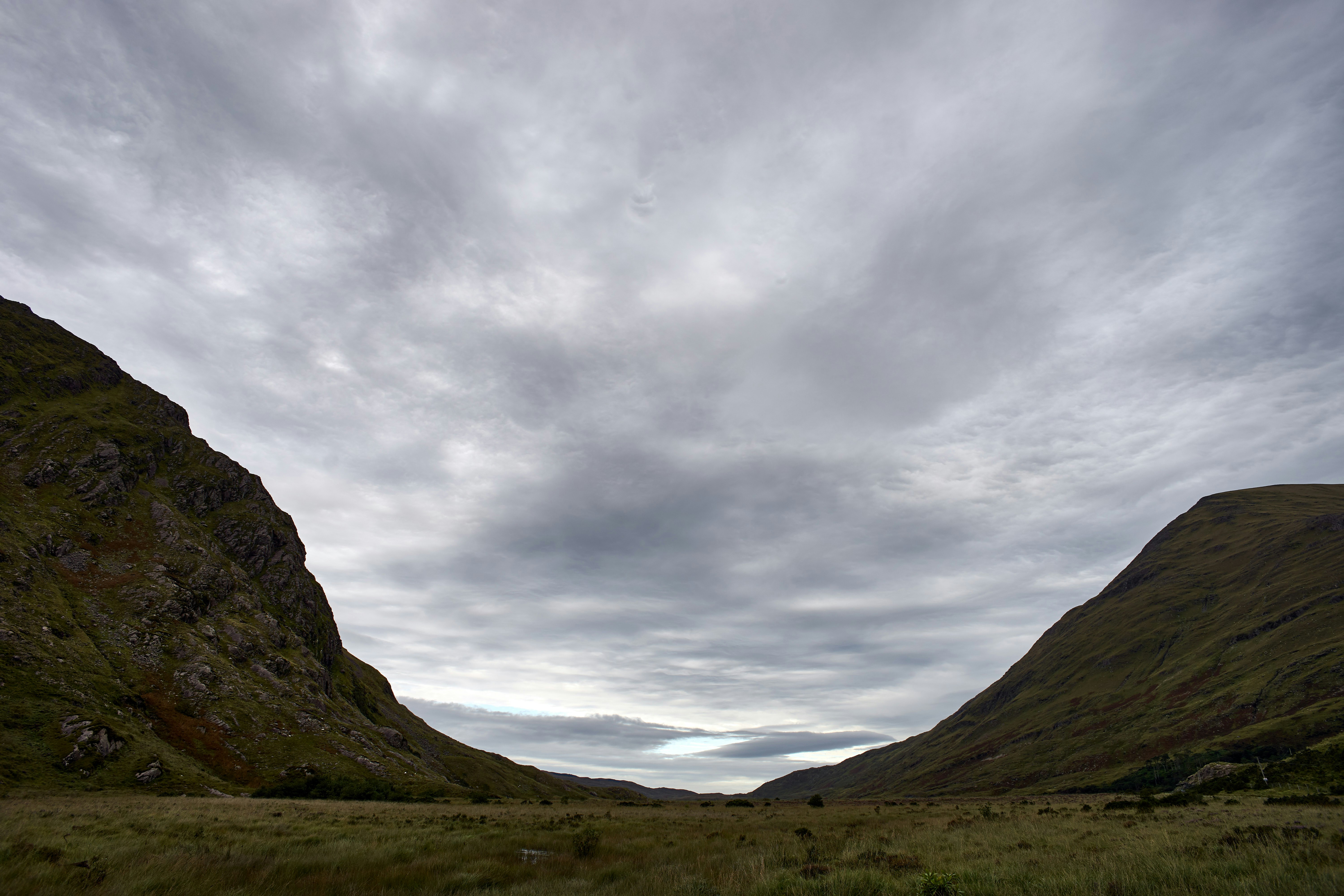 Photo by wolfgang_hasselmann