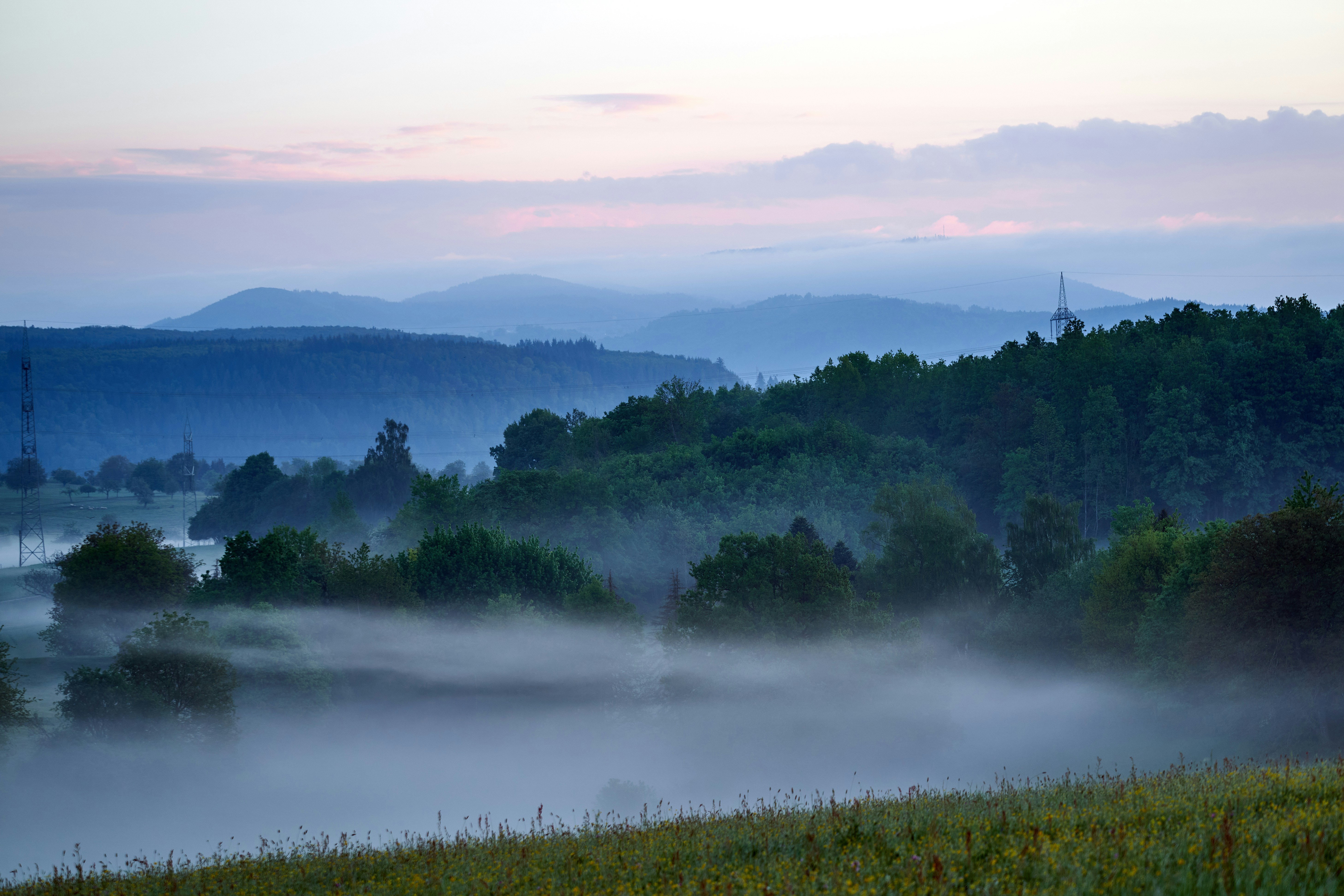 Photo by wolfgang_hasselmann