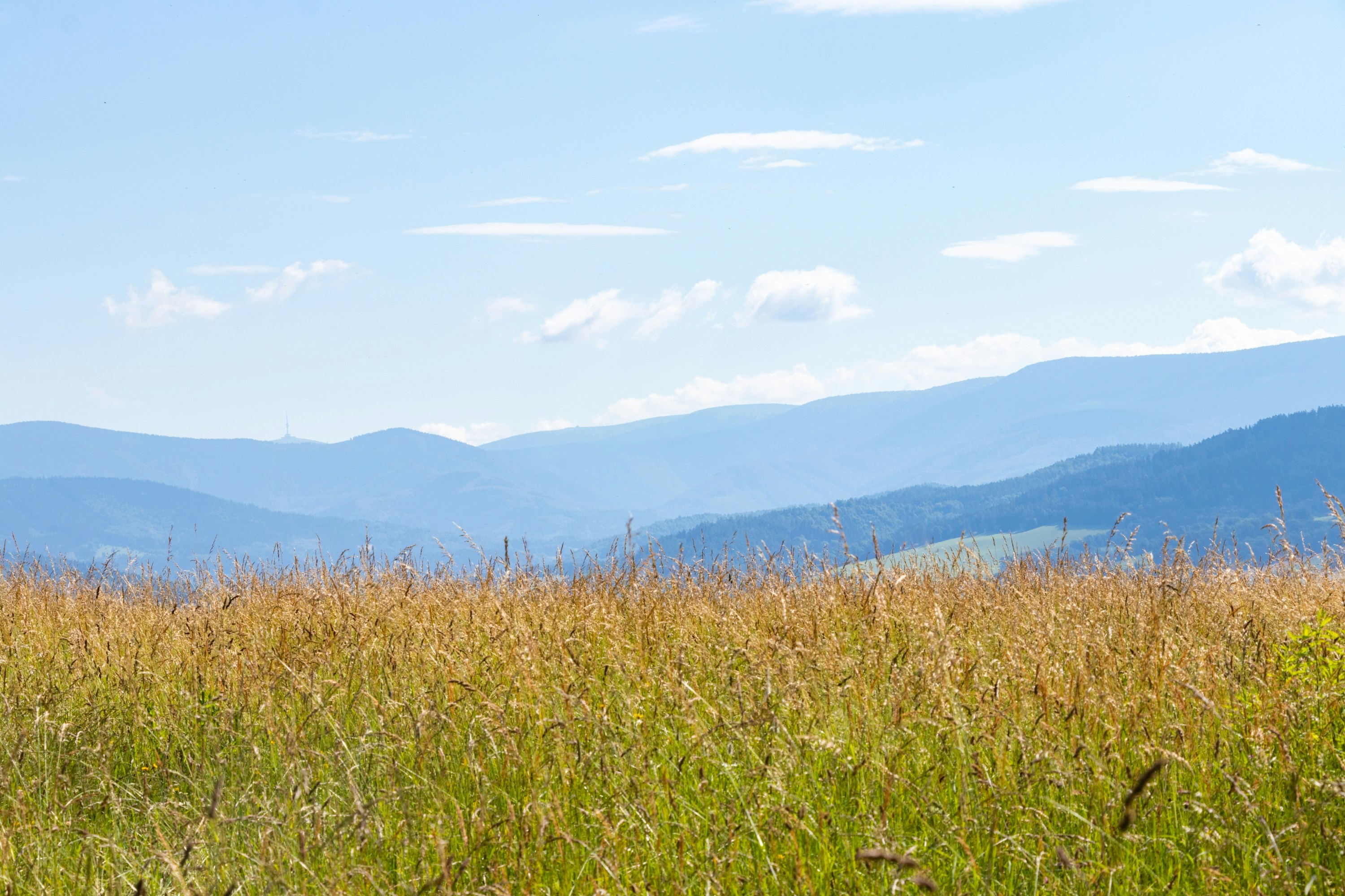 green grass field near mountains during daytime