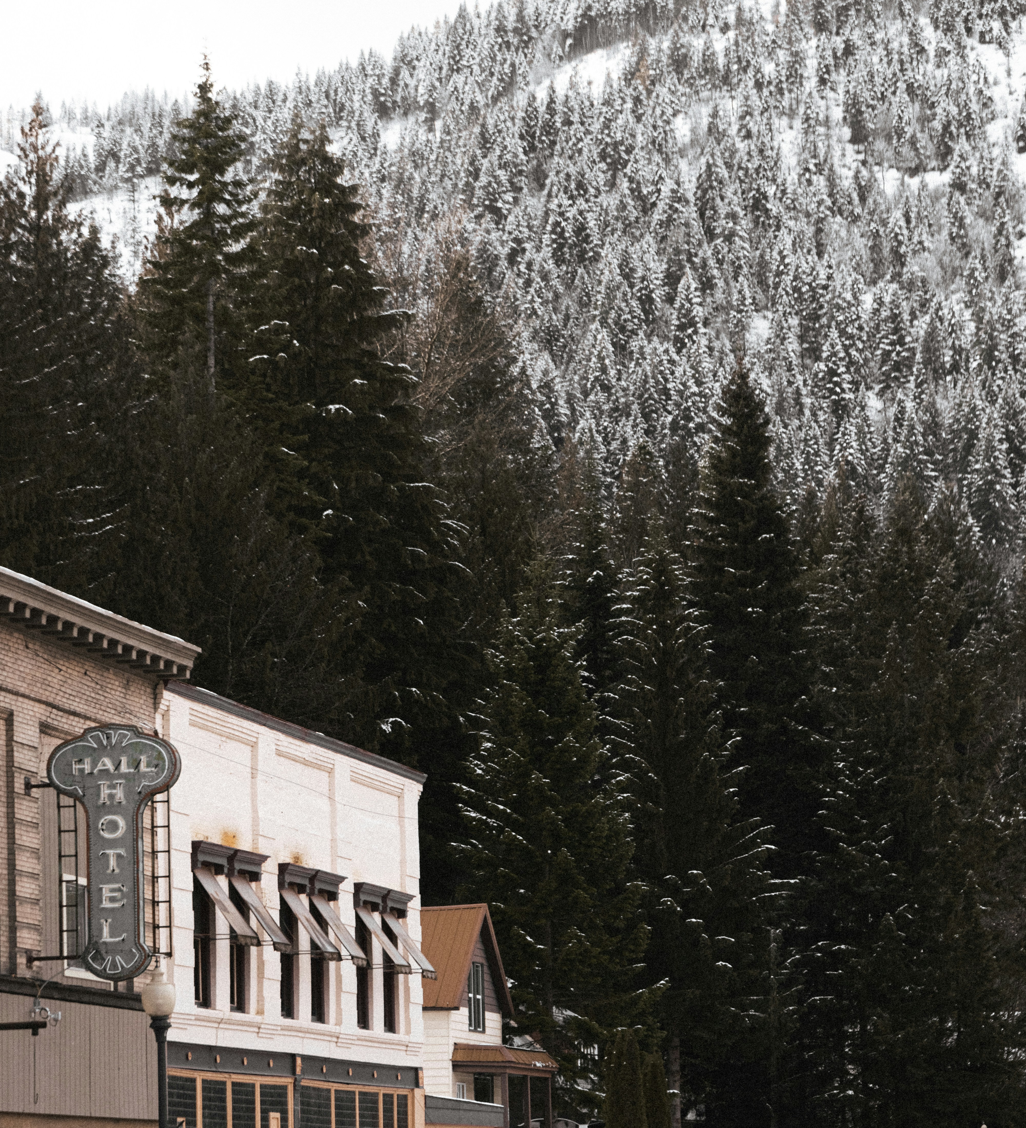 Historic Hall Hotel building nestled against a snowy mountain forest.