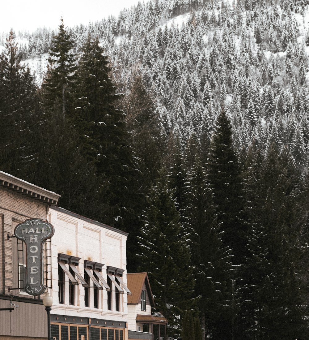Edificio de hormigón marrón cerca de pinos cubiertos de nieve durante el día