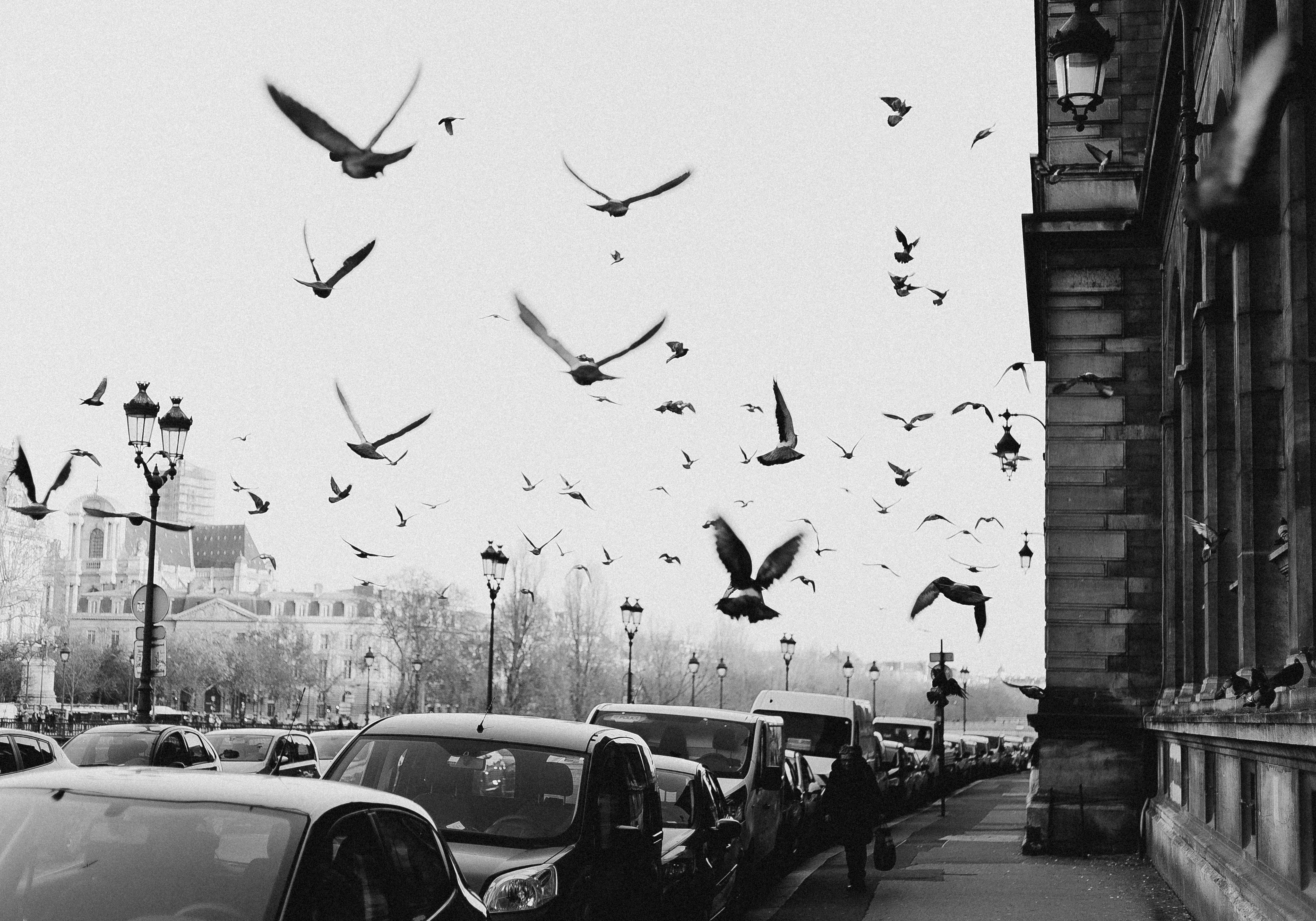Photo by eusouomatteus