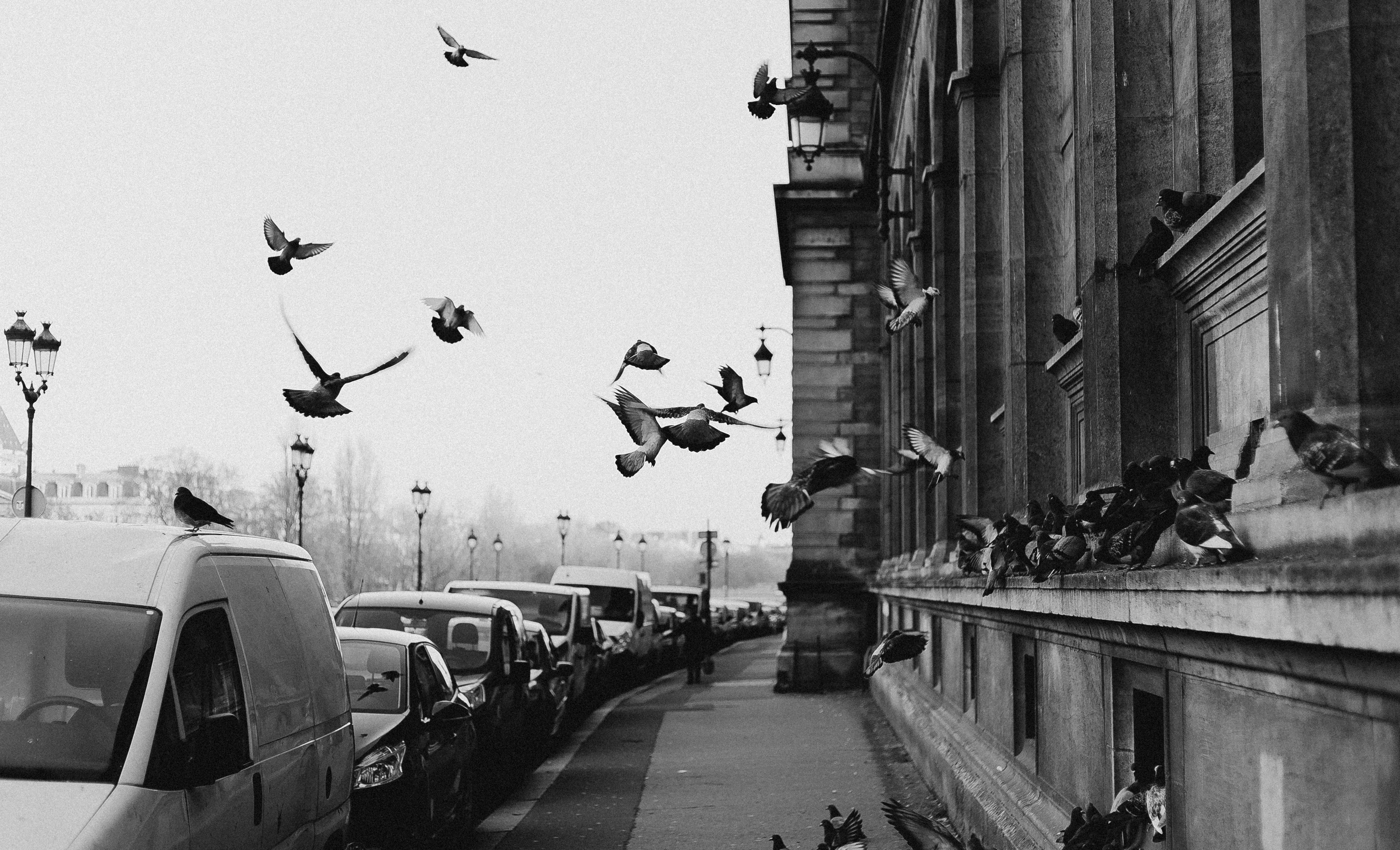 Photo by eusouomatteus
