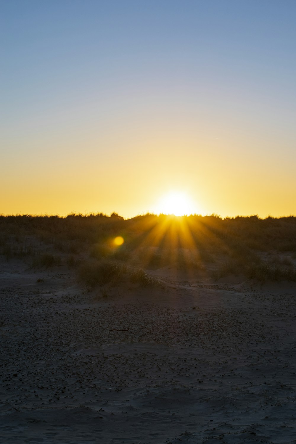 野原に沈む夕日