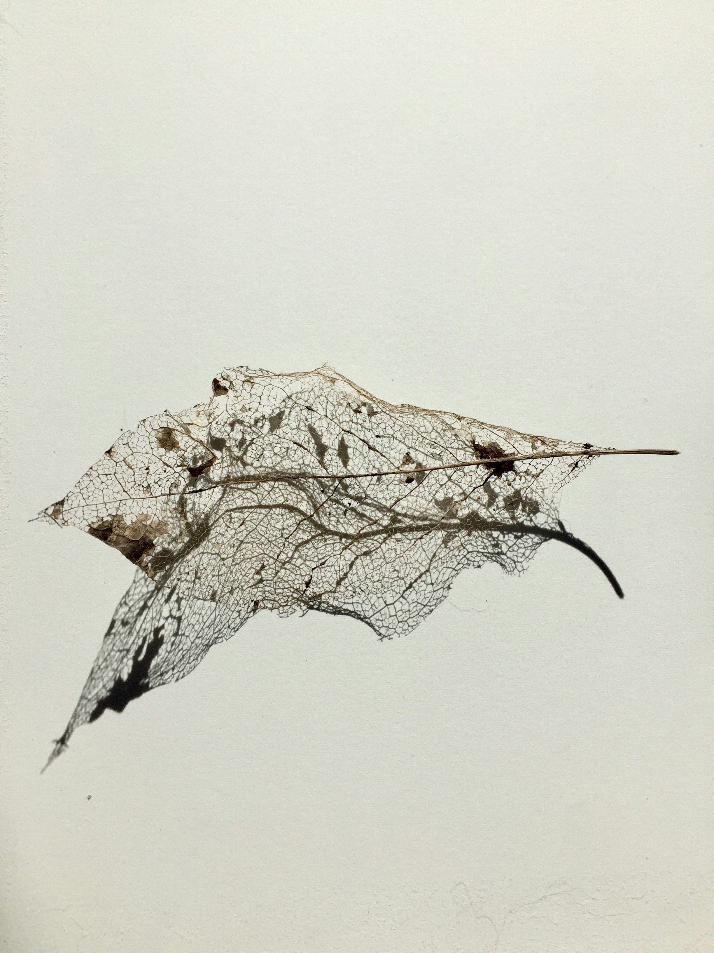 Photo by rosannagaddoni