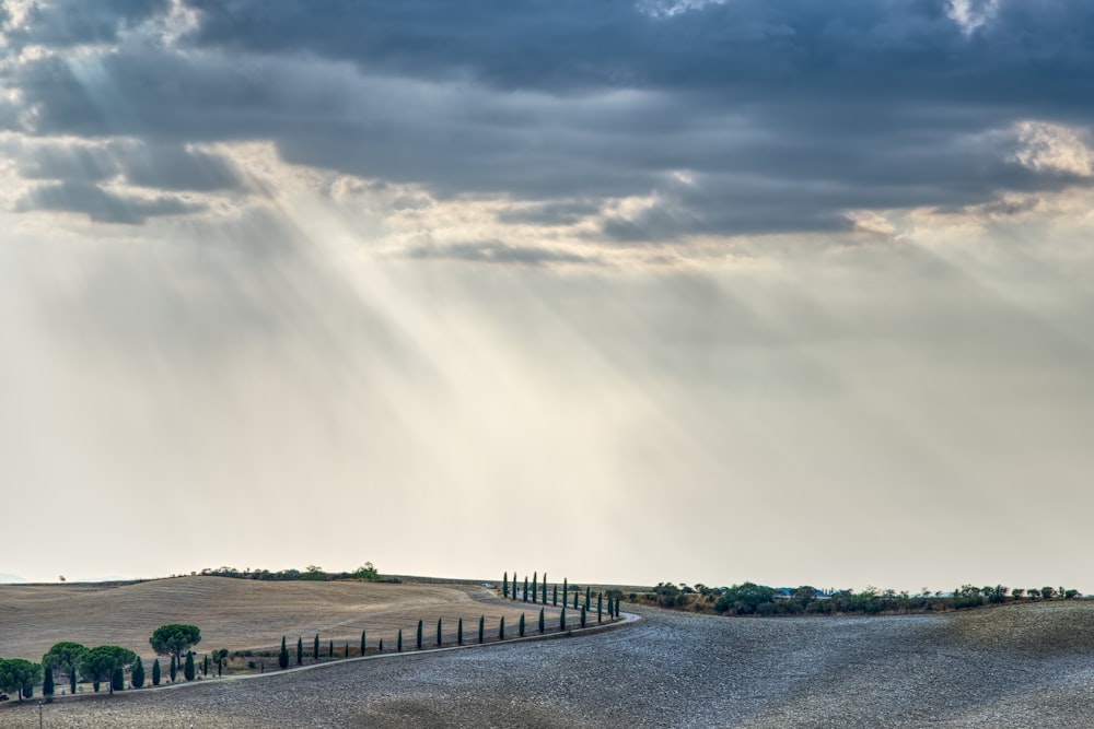 green grass field near body of water under white clouds during daytime