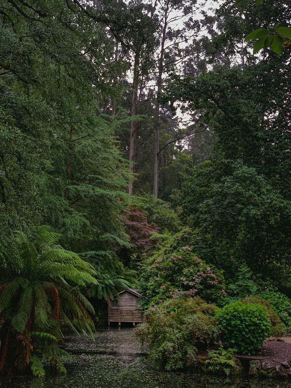 brown wooden house in the middle of green trees