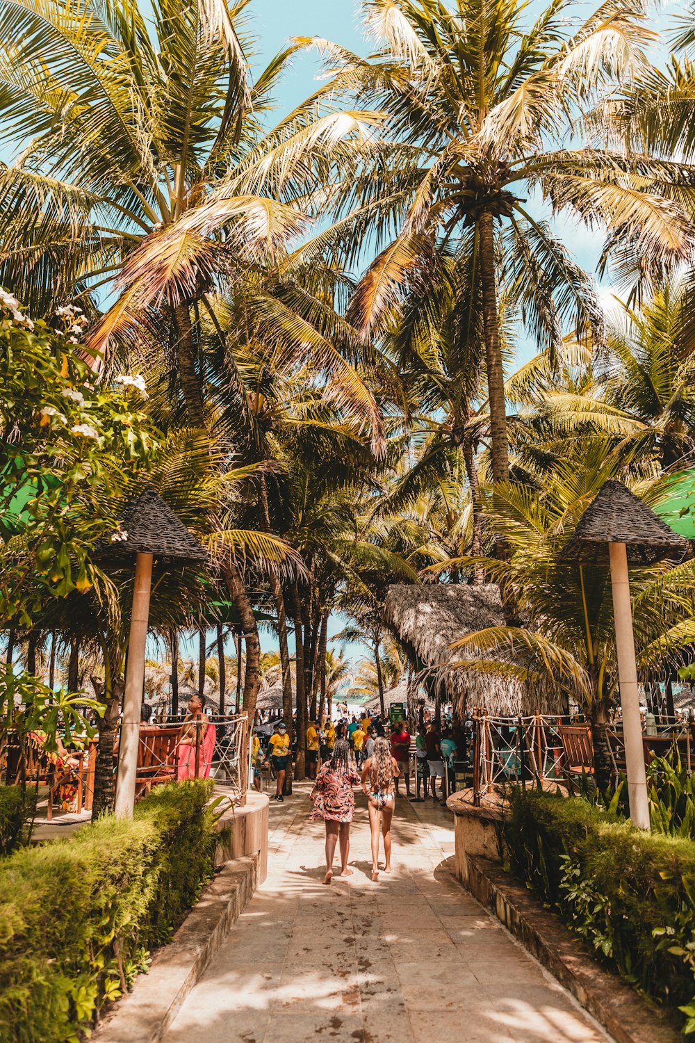 people walking on the beach during daytime