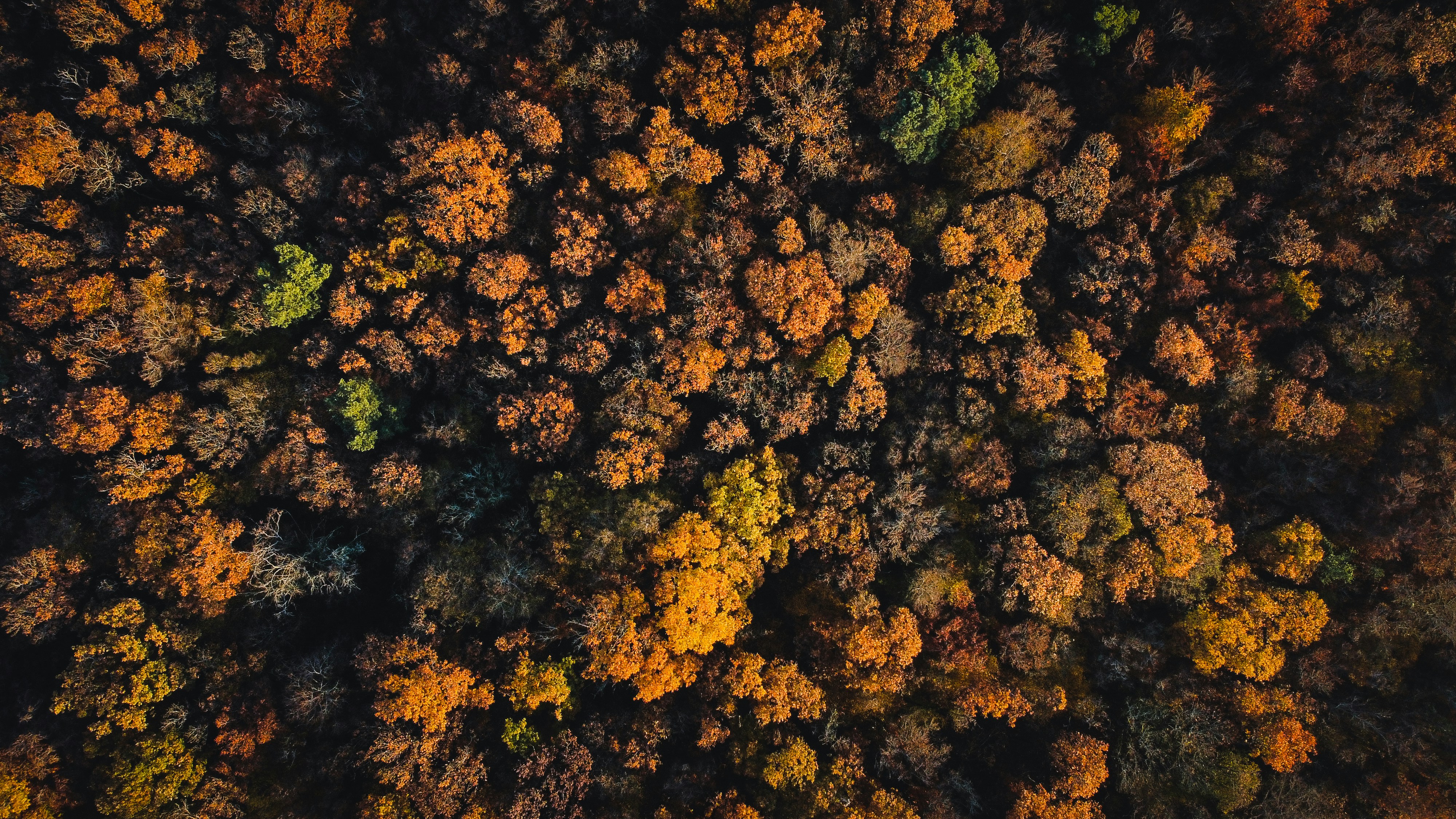 Photo by janikk_fischer