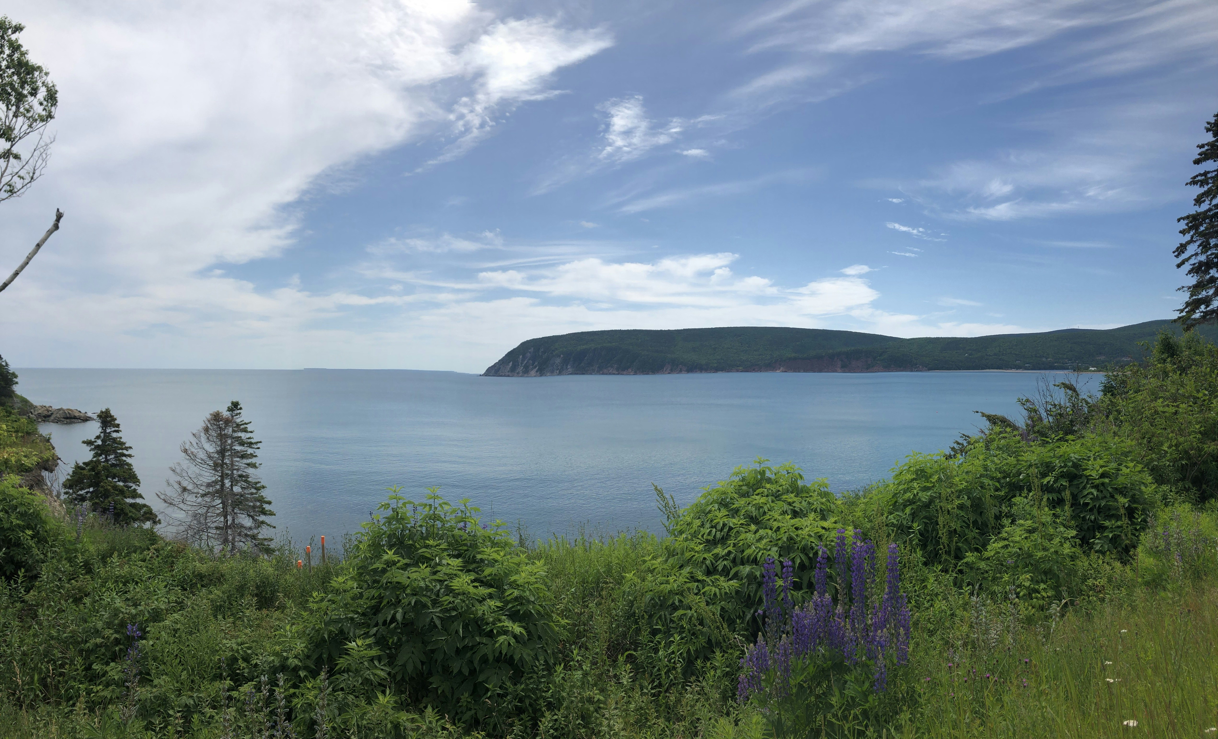 Photo by cambeaulne_