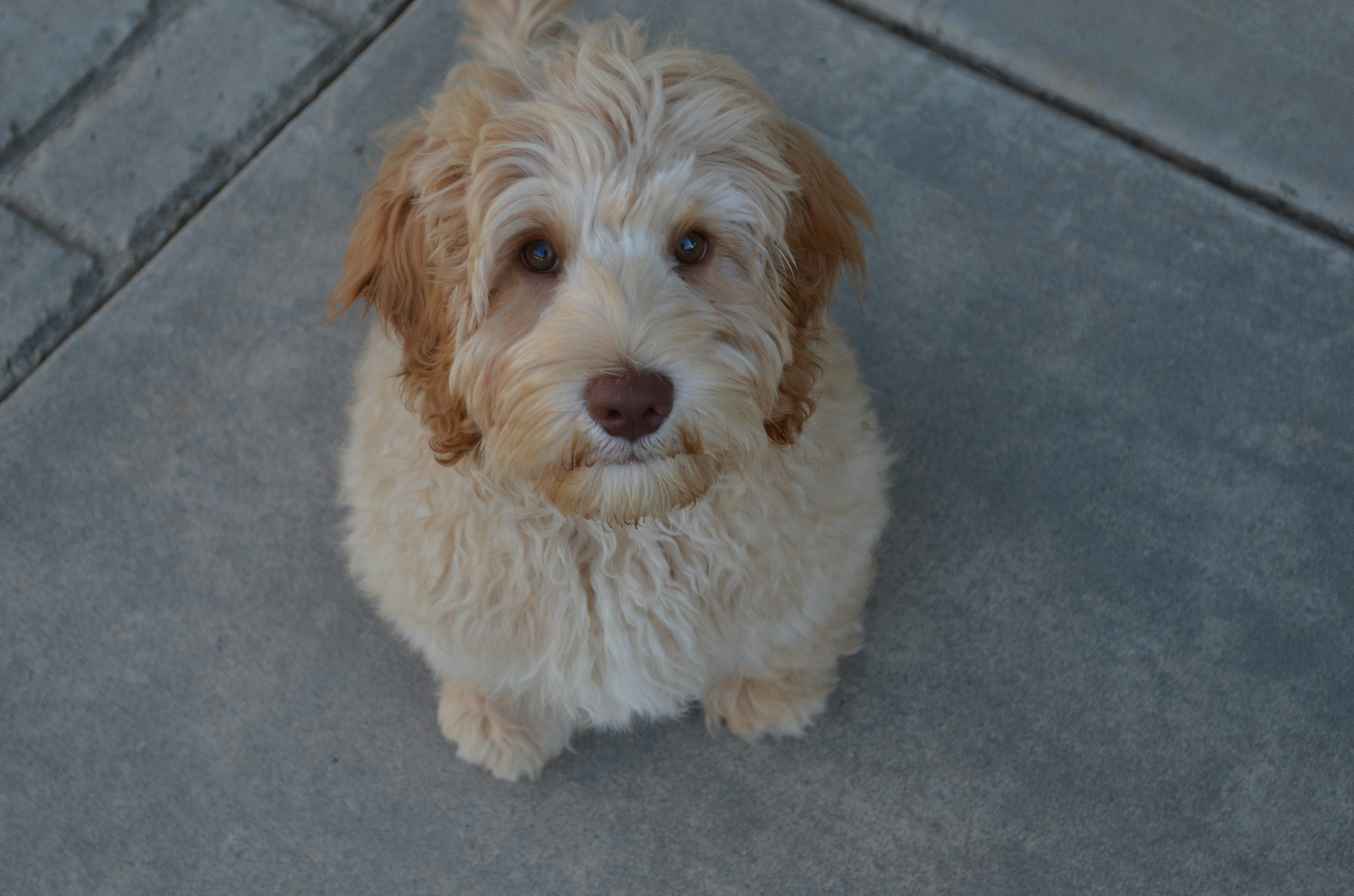 Photo by _laurenkregister