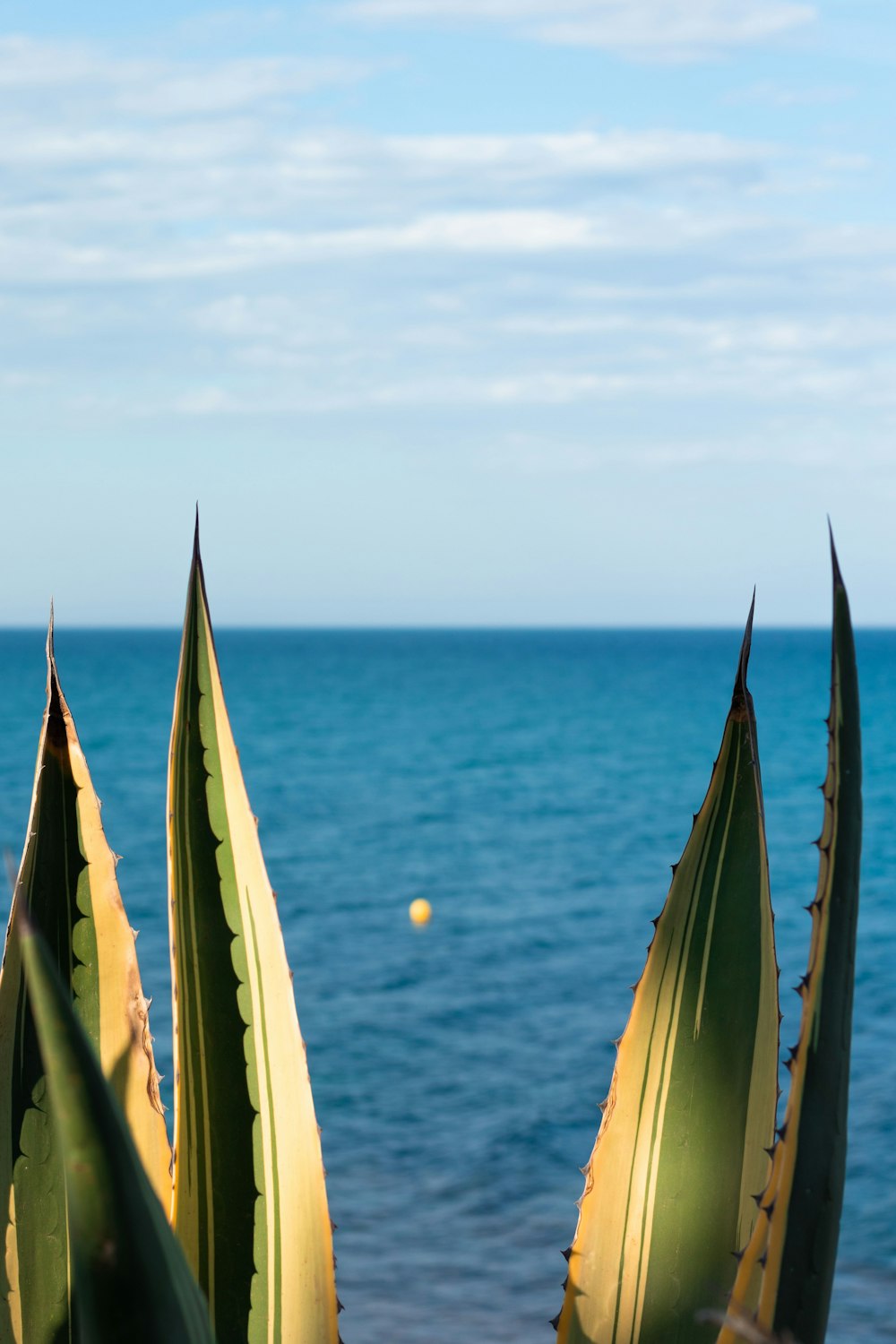 brown and white sail boat on sea during daytime