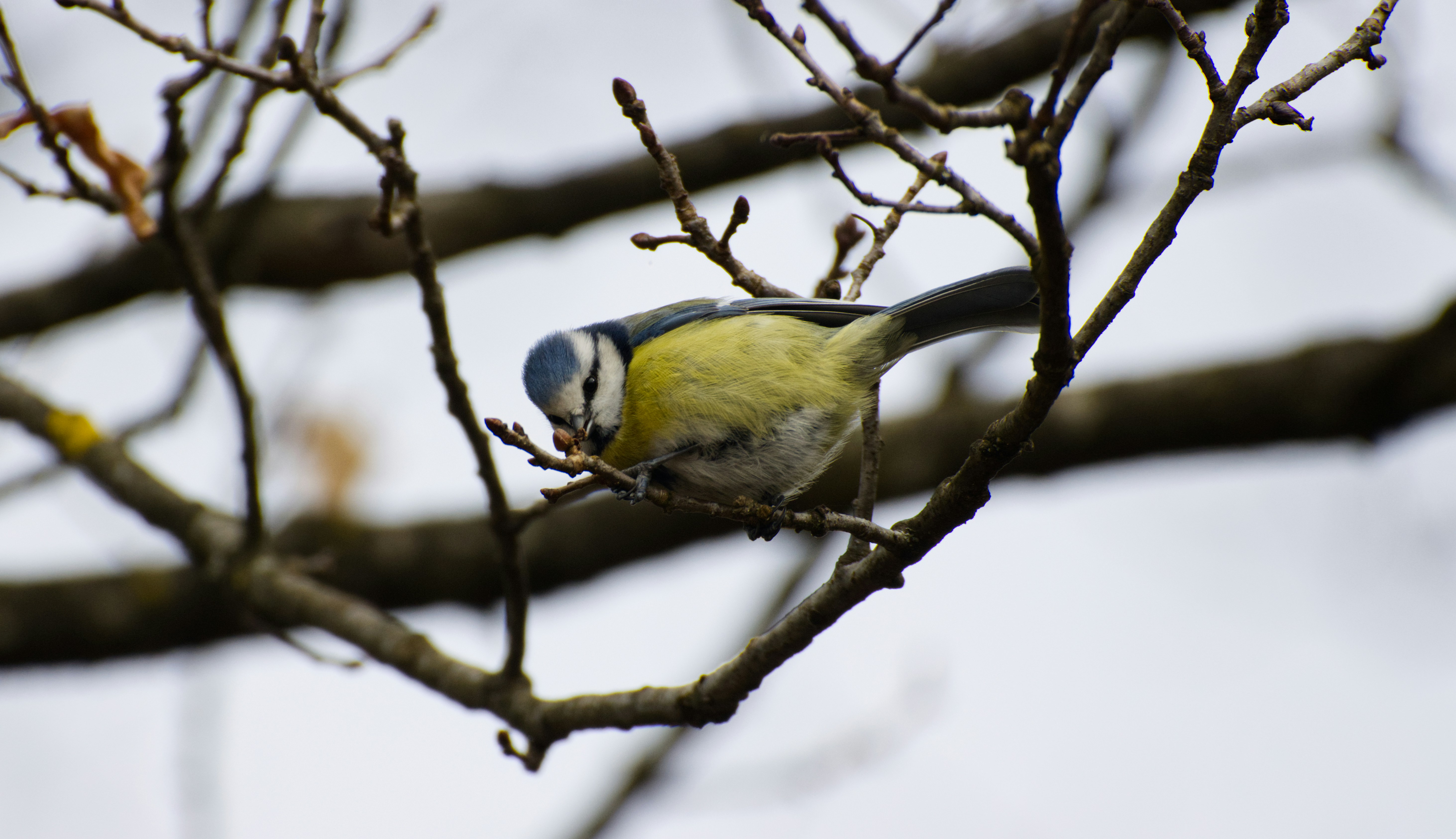 Photo by photasticlab