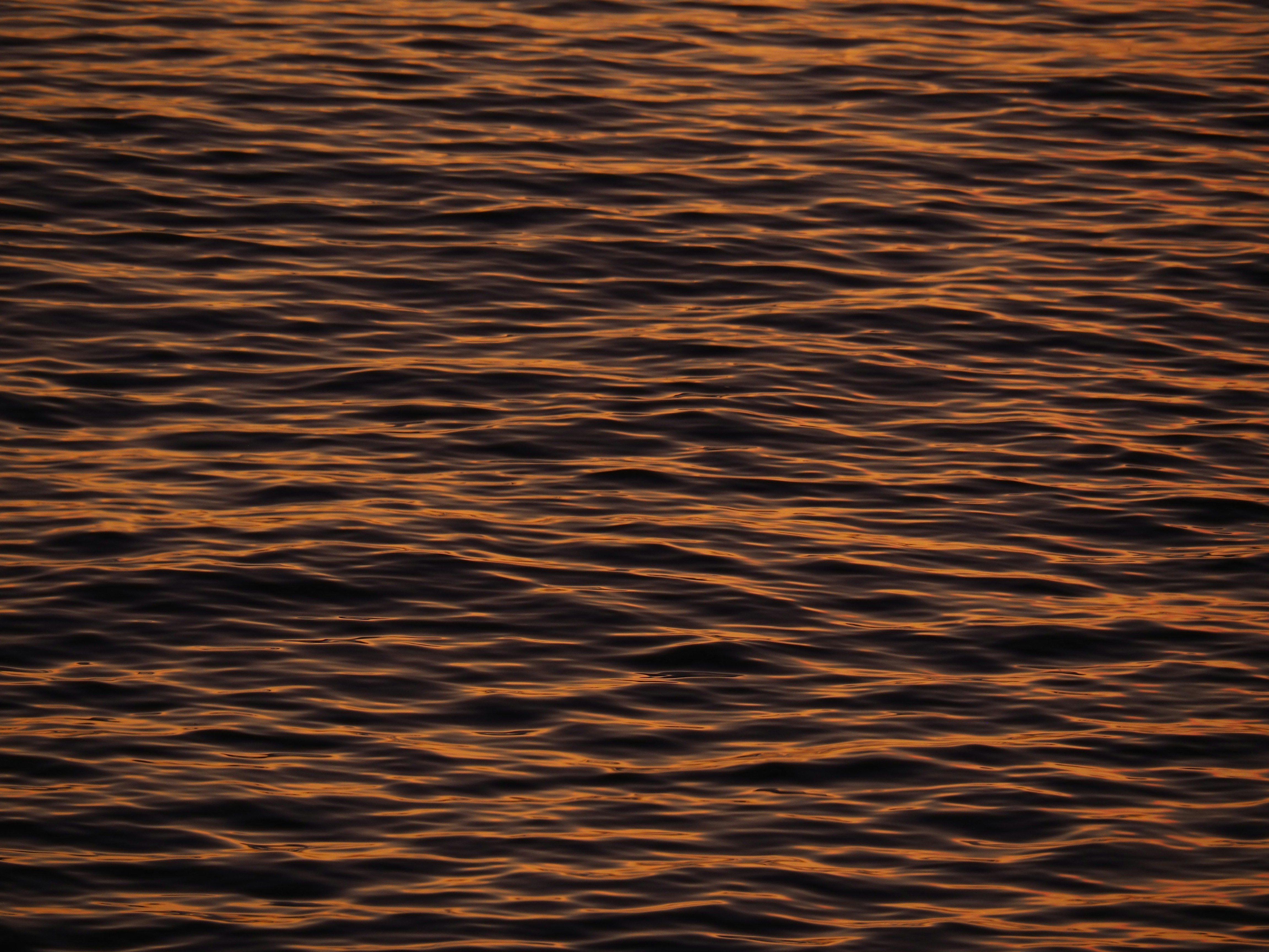 Photo by nimbus_vulpis