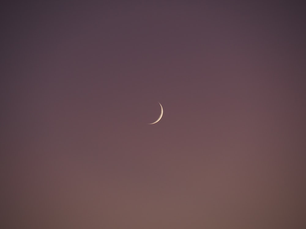 white crescent moon on sky