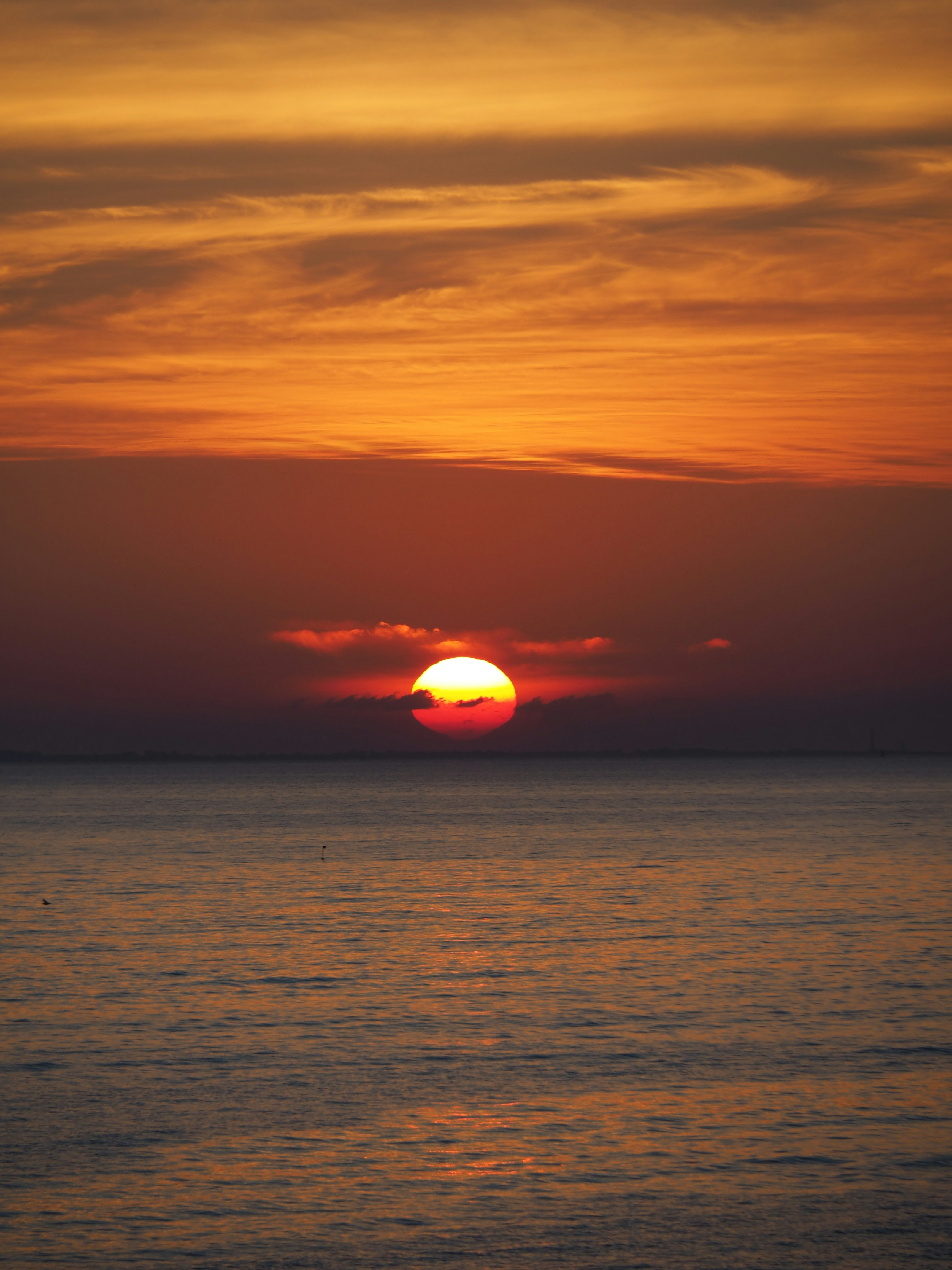 Photo by nimbus_vulpis