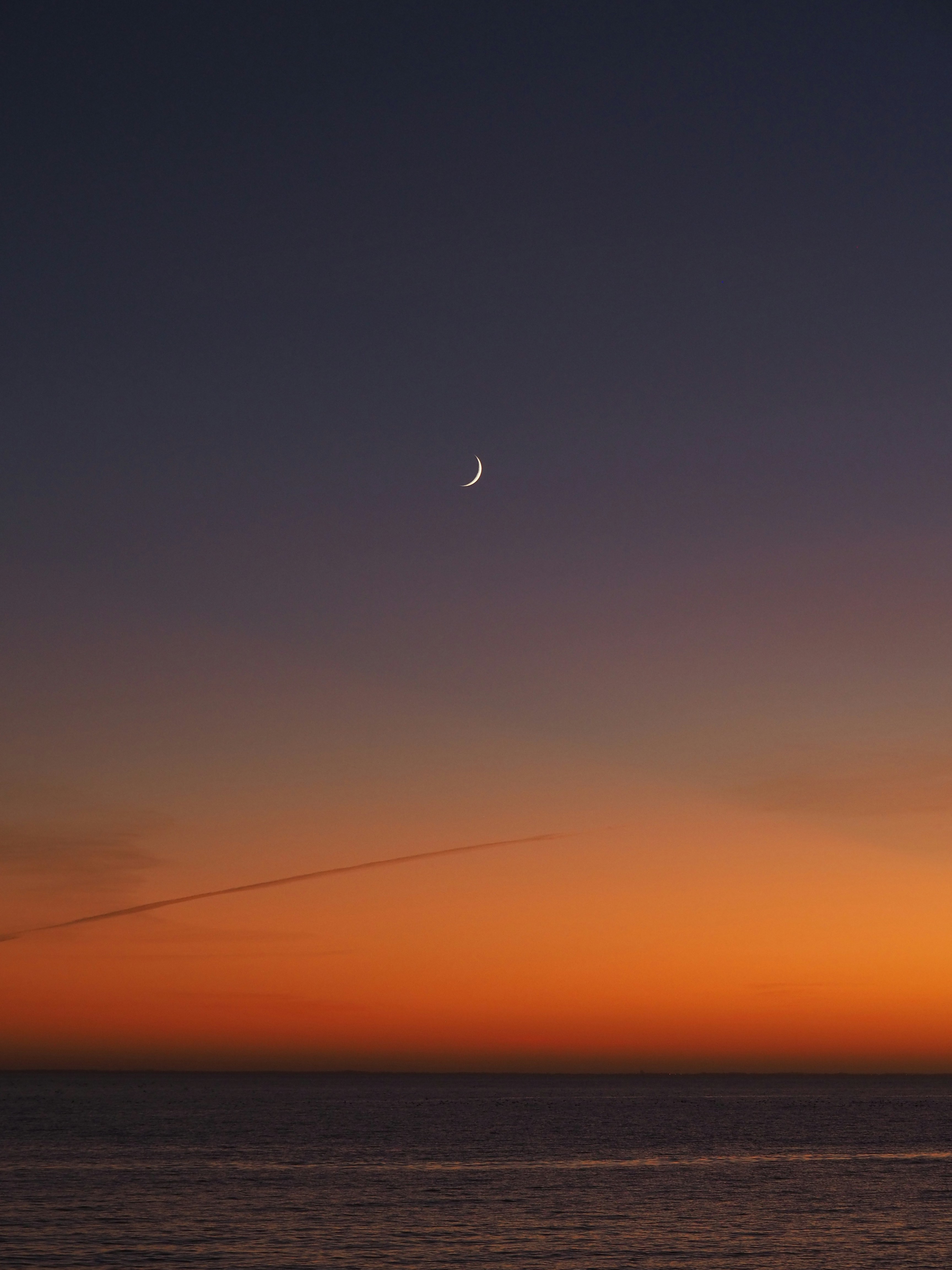 Photo by nimbus_vulpis