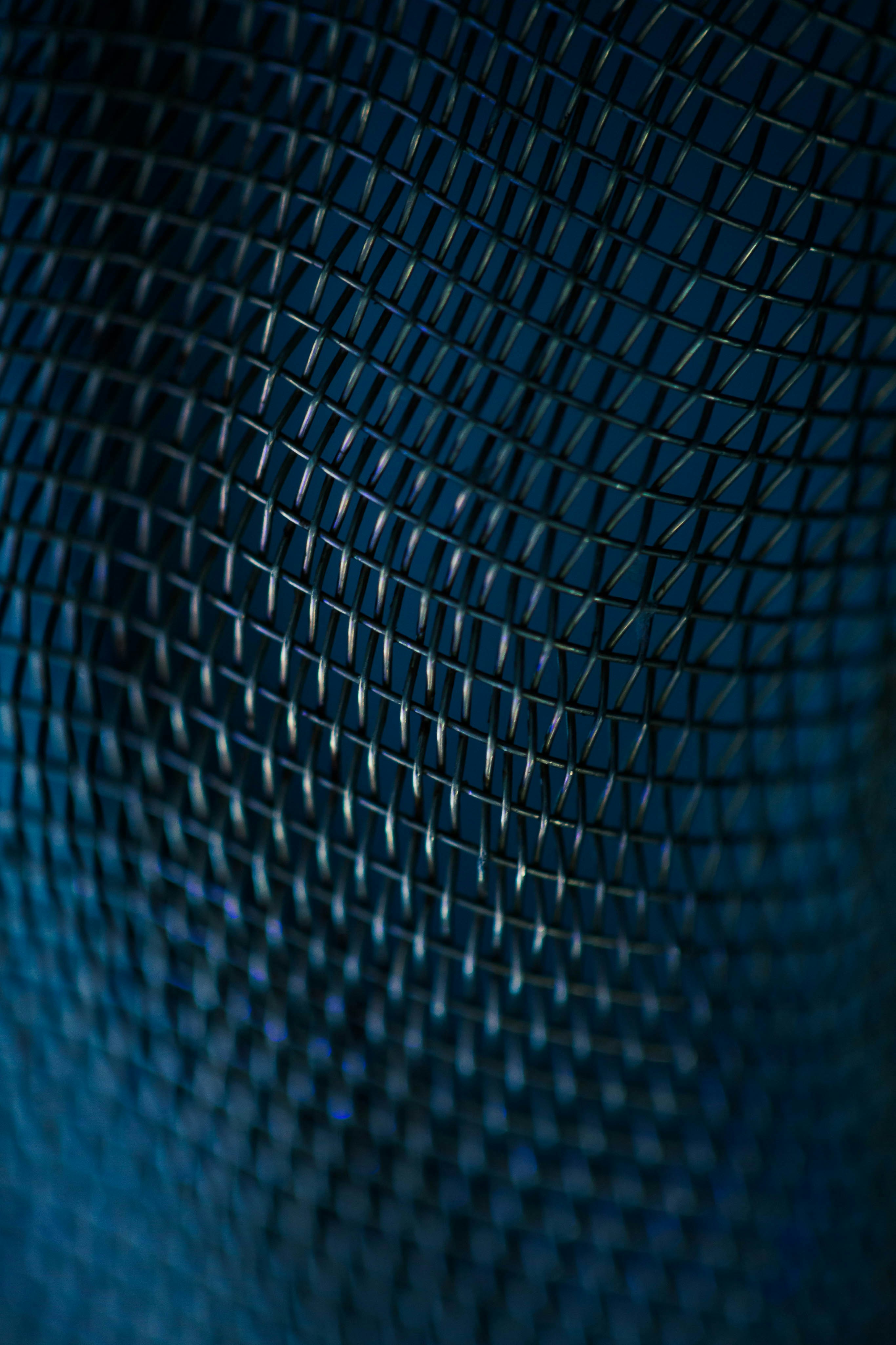 Photo by solenfeyissa