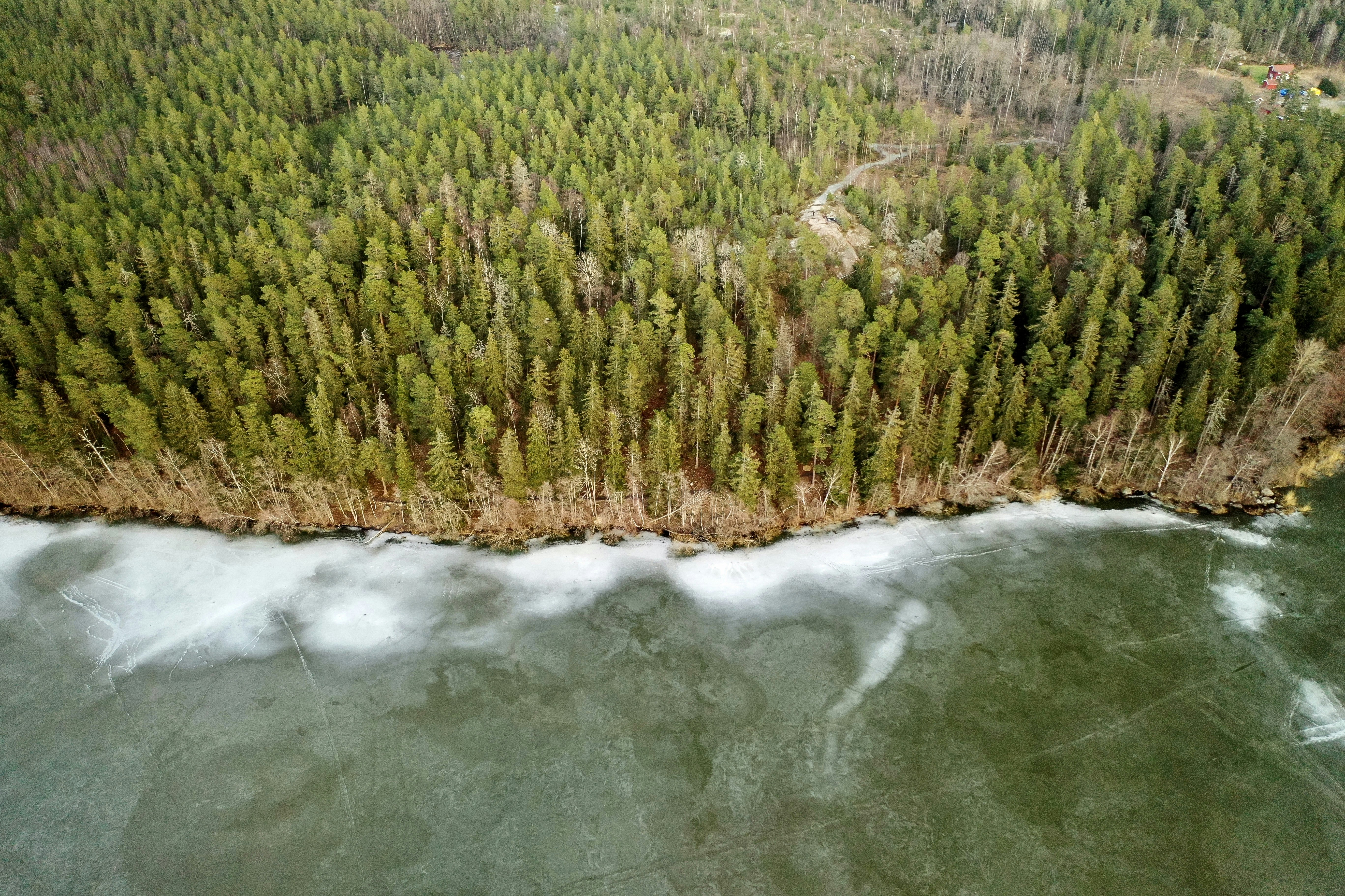 Photo by gevaragando