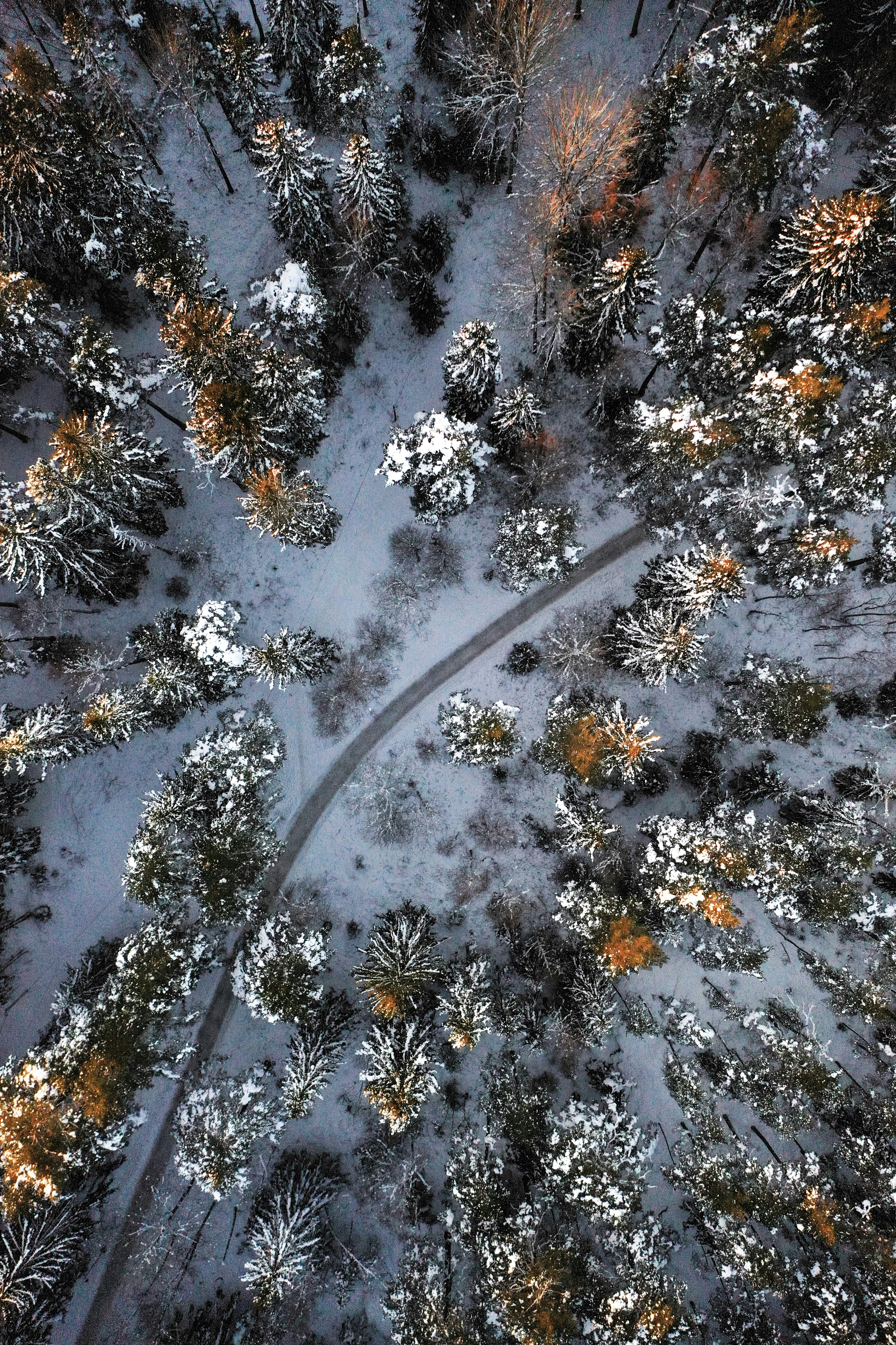 Photo by gevaragando