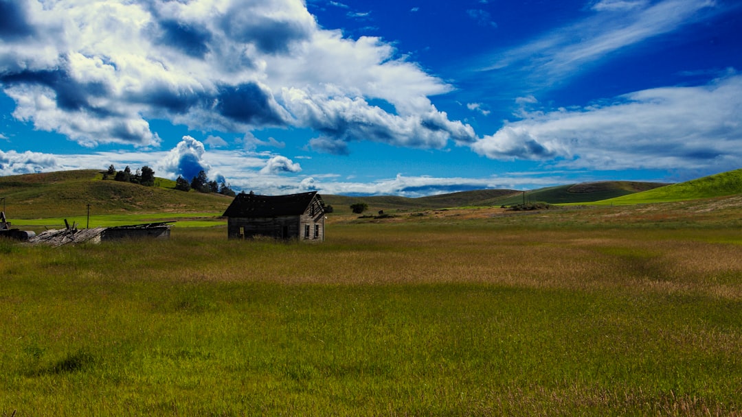 brown wooden house on green grass field under blue and white cloudy sky during daytime