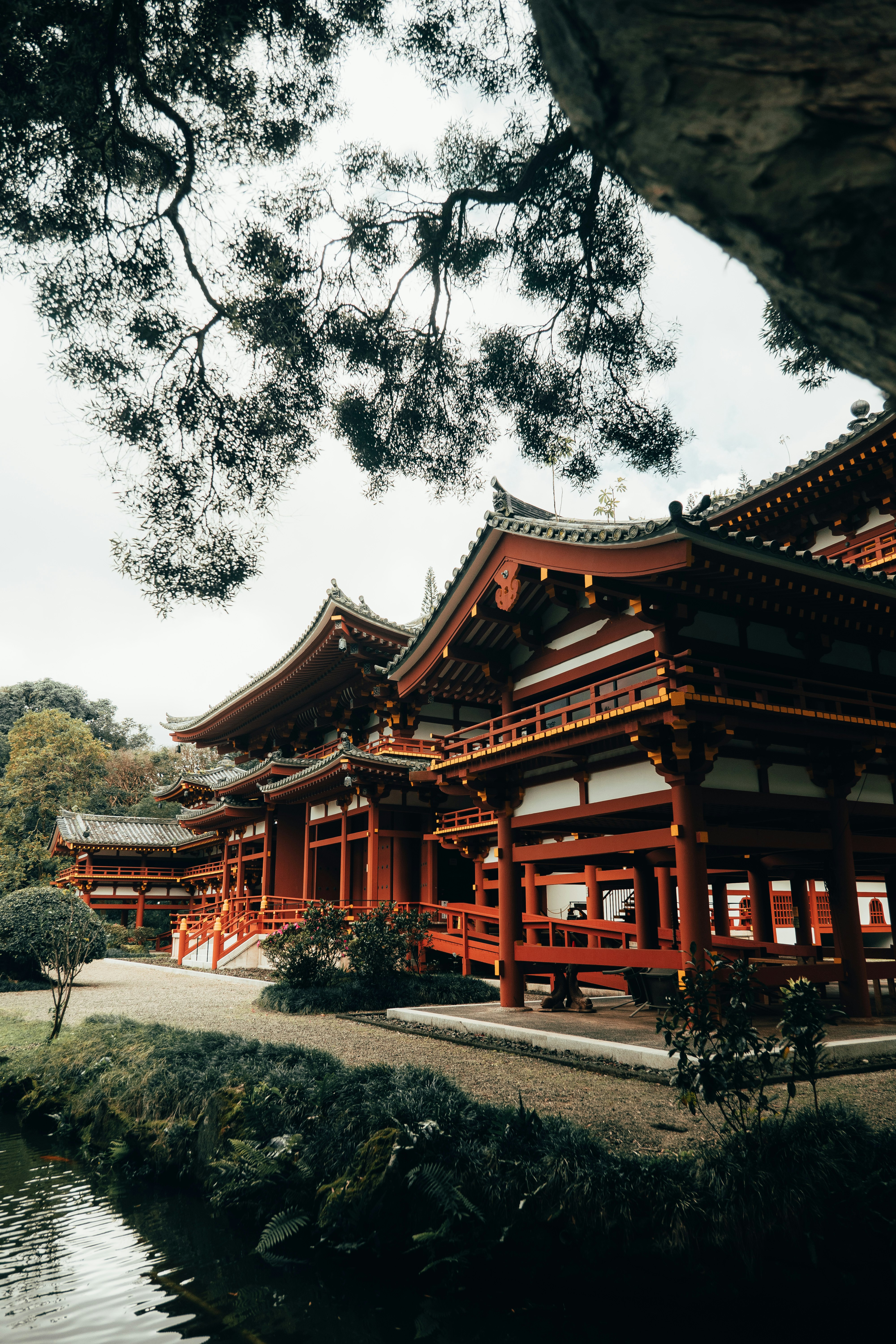 brown and red temple surrounded by trees during daytime