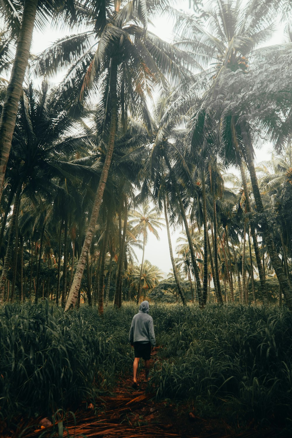 man in white shirt standing near palm trees during daytime