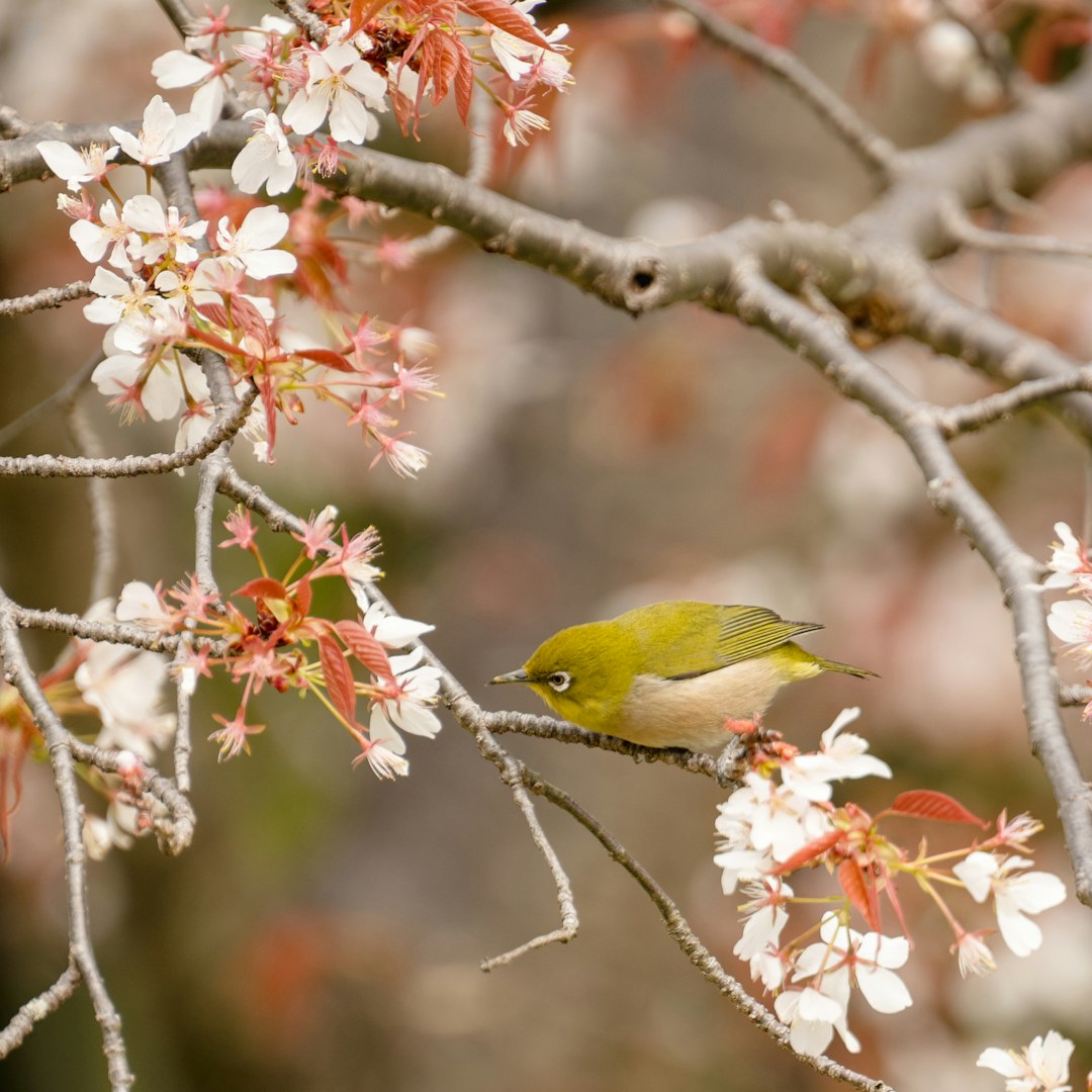 green bird on brown tree branch