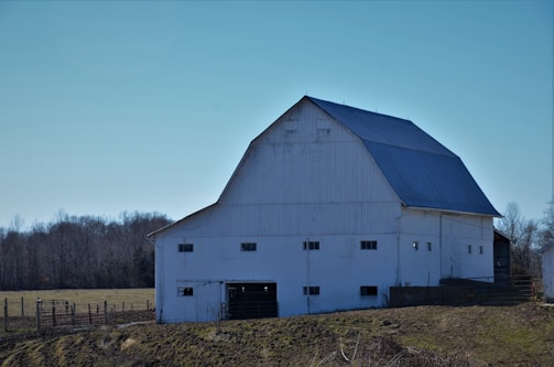 A family inspecting a newly built barn frame surrounded by open fields.