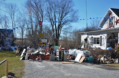 people sitting on chair near trees during daytime