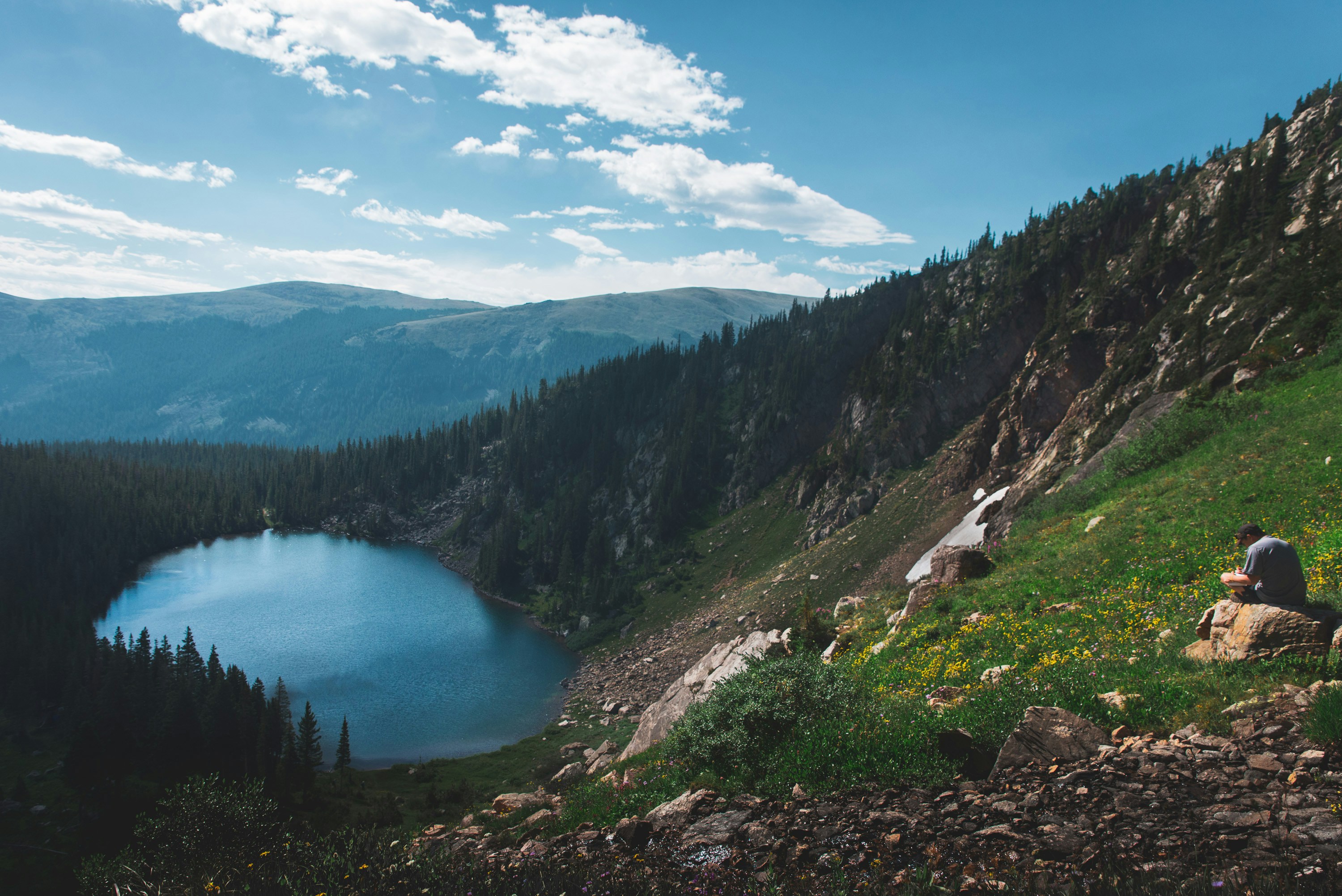 green trees near lake under blue sky during daytime