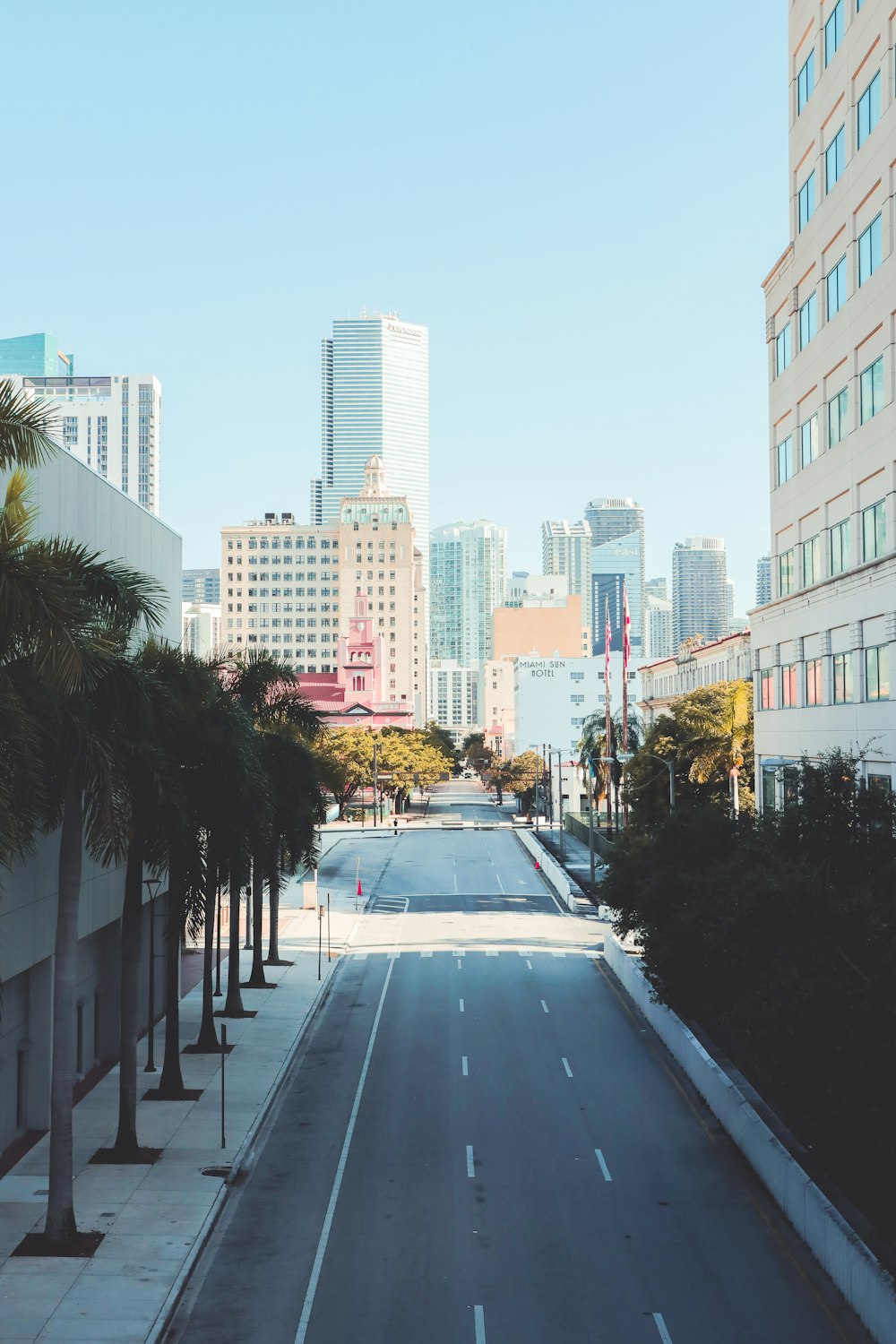 cars on road near buildings during daytime