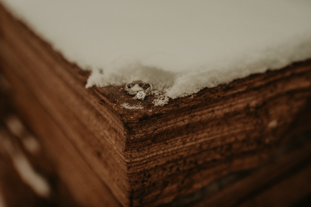 brown wooden board with white snow