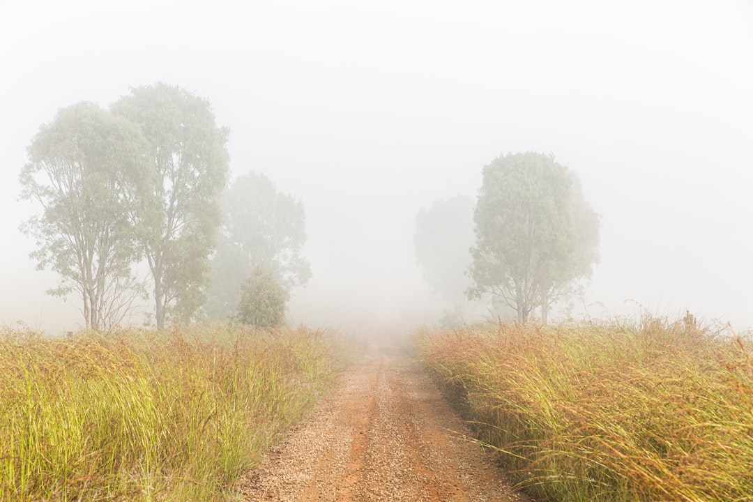 brown dirt road between green grass field during daytime