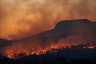 A forest fire spreads across a densely wooded area beneath a mountainous silhouette. The sky above is filled with thick, billowing smoke, casting an ominous, orange hue over the landscape.