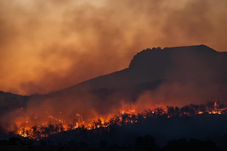 wildfire burning across hillside at dusk