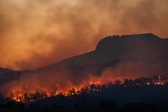 wildfire burning across hillside at dusk