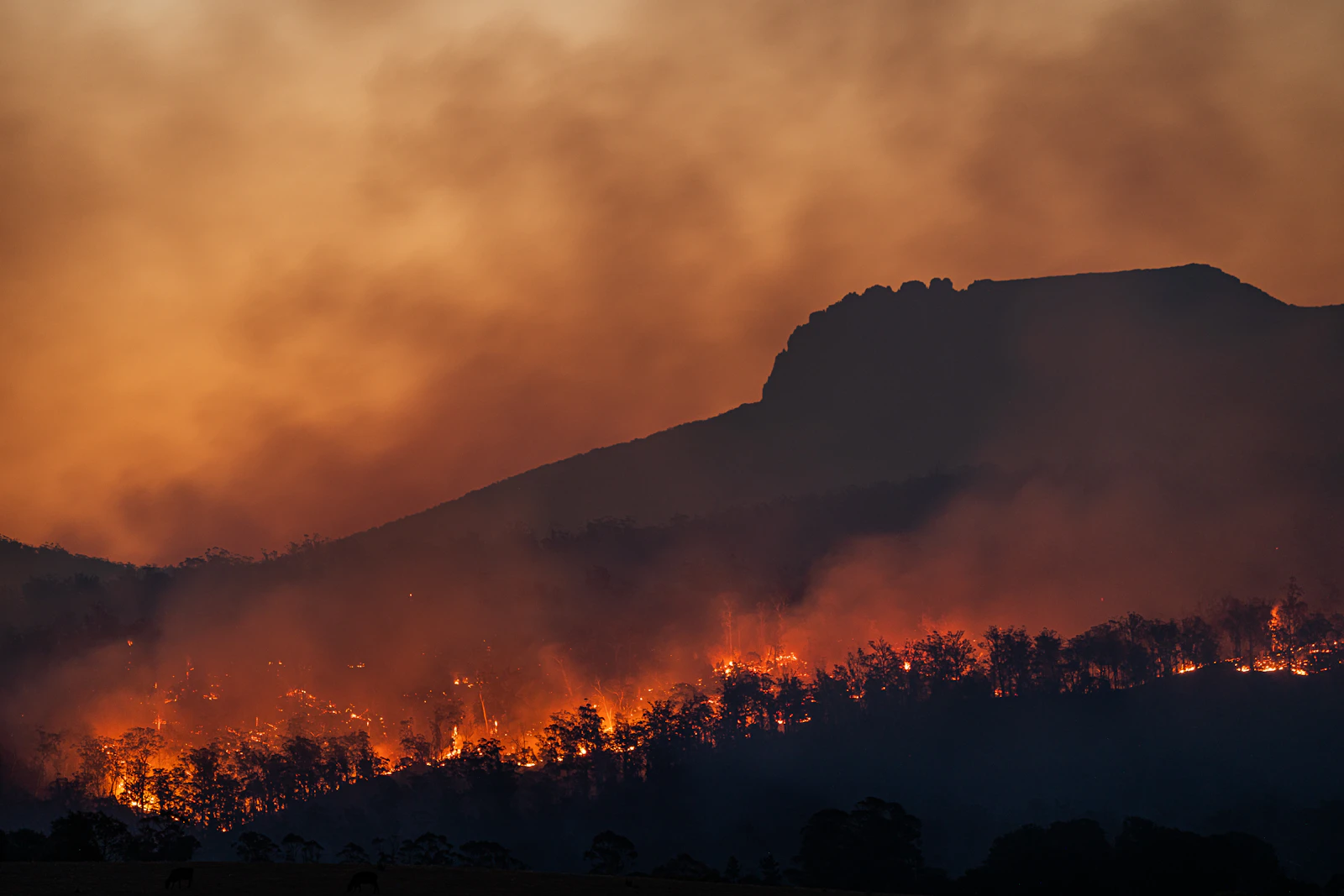 Wildfire burning across a hillside at dusk