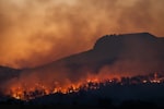 Concluye temporada de incendios forestales con 581 mil 617 hectáreas afectadas
