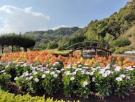 a bridge over a river surrounded by lots of flowers