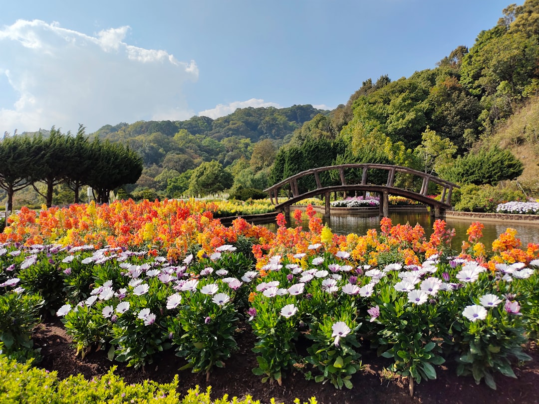 a bridge over a river surrounded by lots of flowers